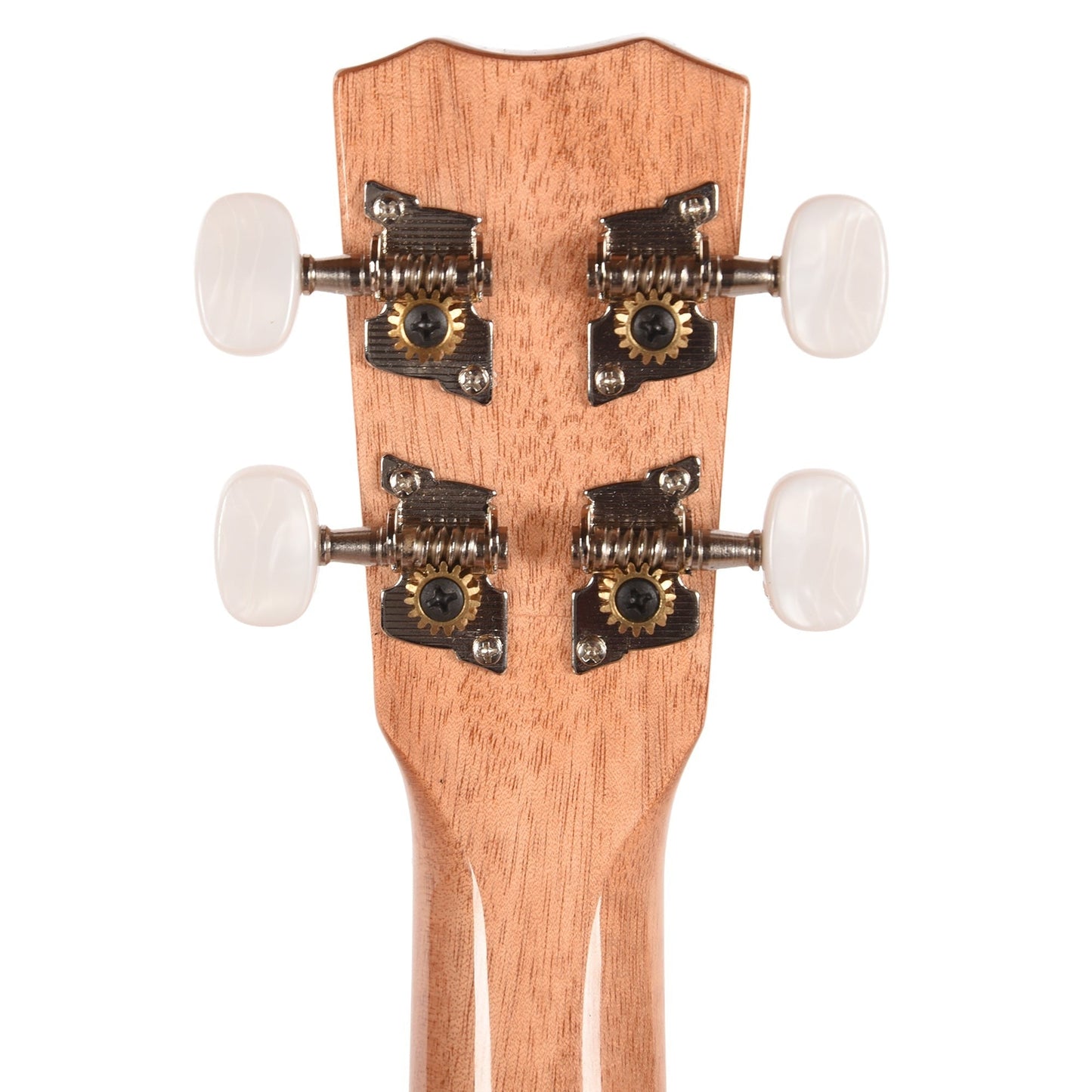 Cordoba 15C Concert Ukulele Catalonia Green
