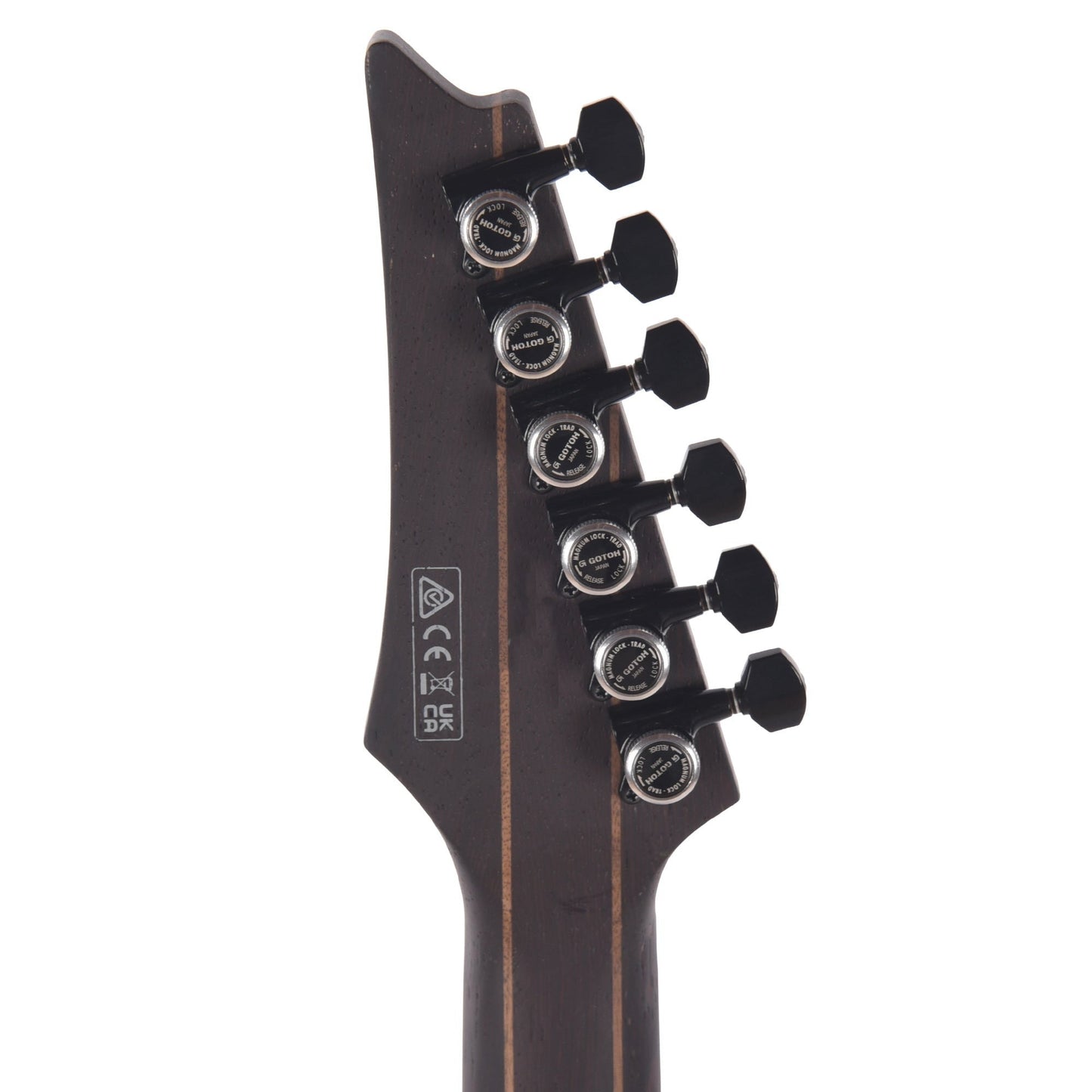 Ibanez RGD621AHMNF RGD Electric Guitar Midnight Shade Flat