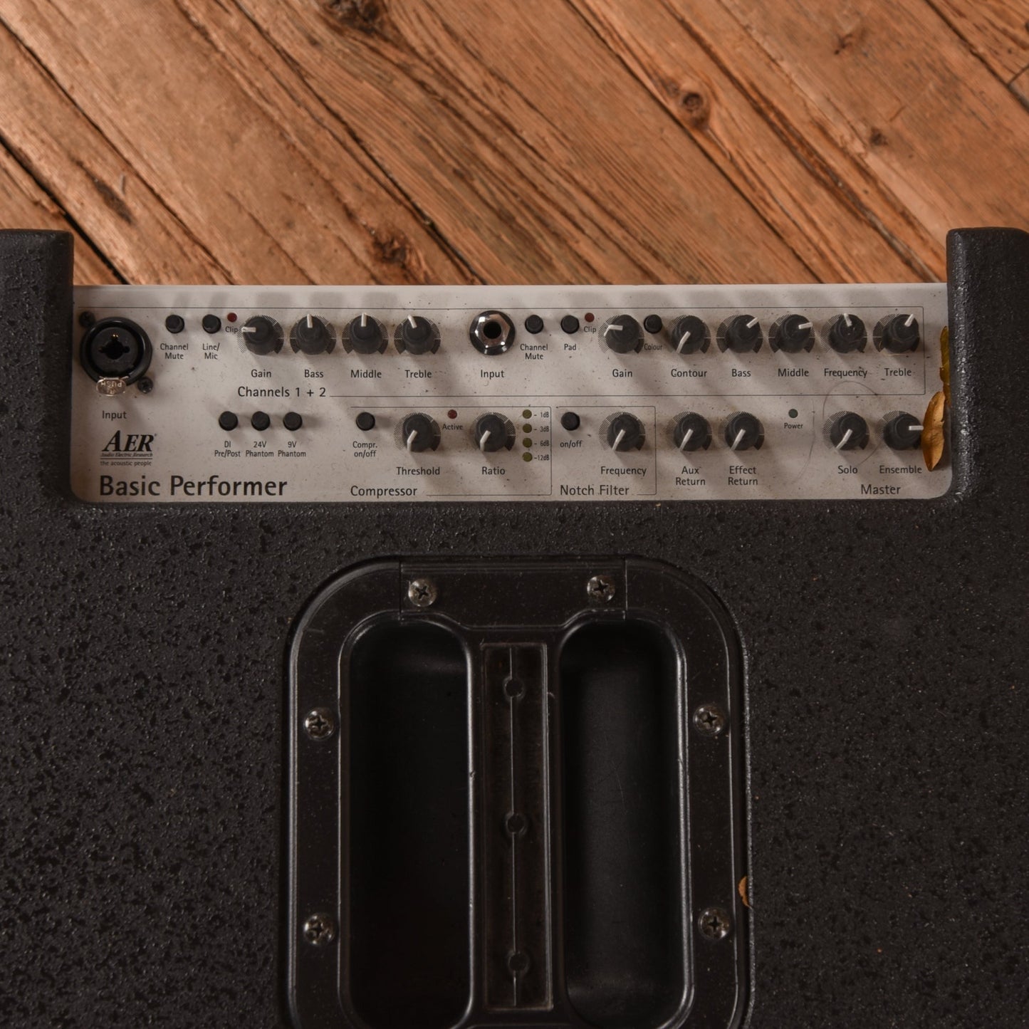 AER Basic Performer Bass Combo