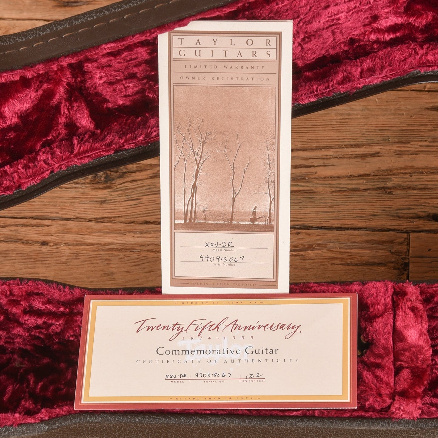 Taylor XXV-DR 25th Anniversary Dreadnaught Natural 1999