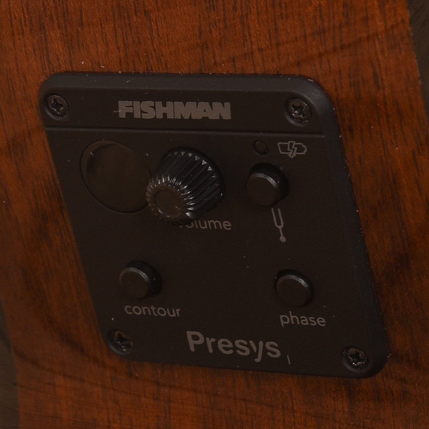 Breedlove Discovery S Concert Nylon CE Natural 2024