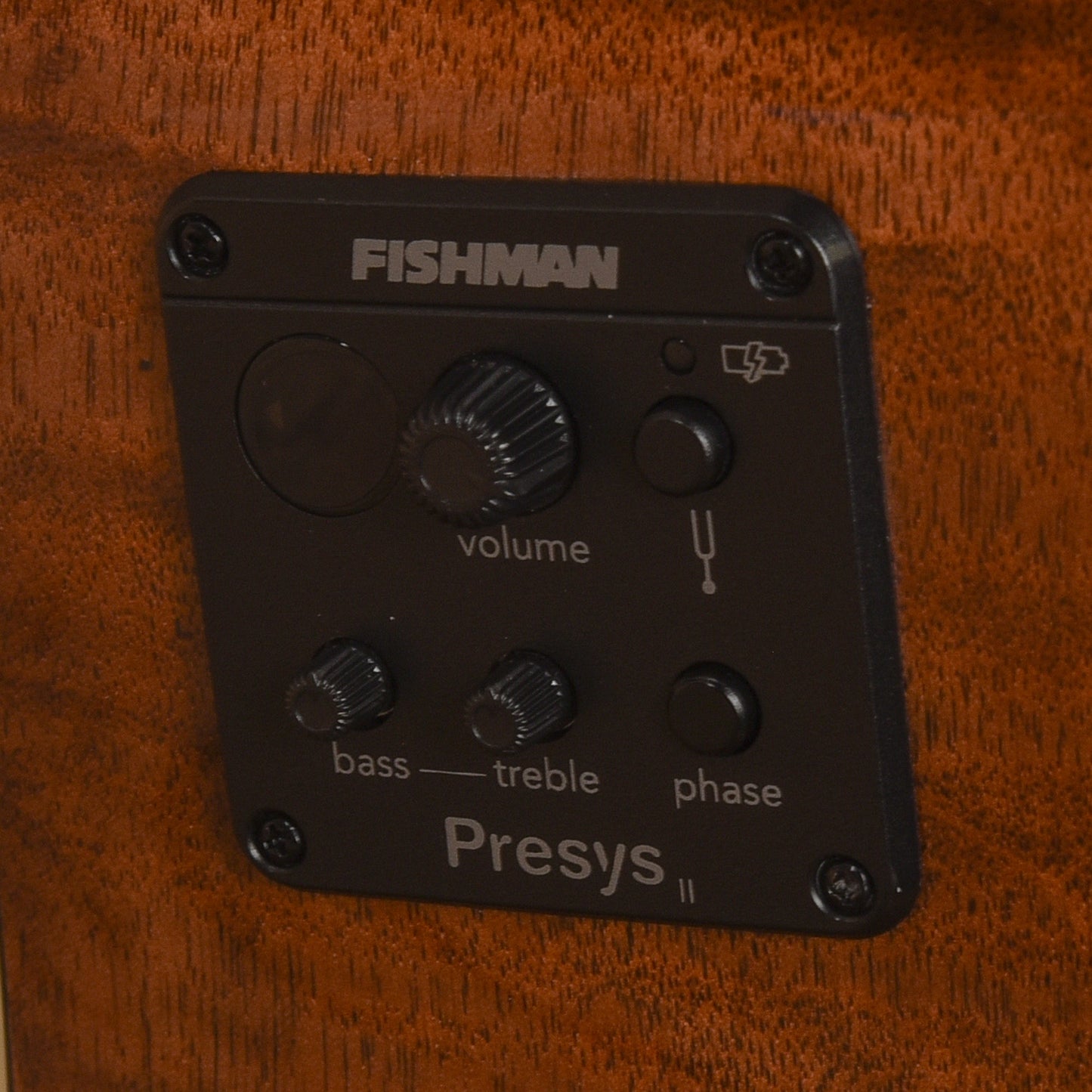 Tagima FS200EQ Natural