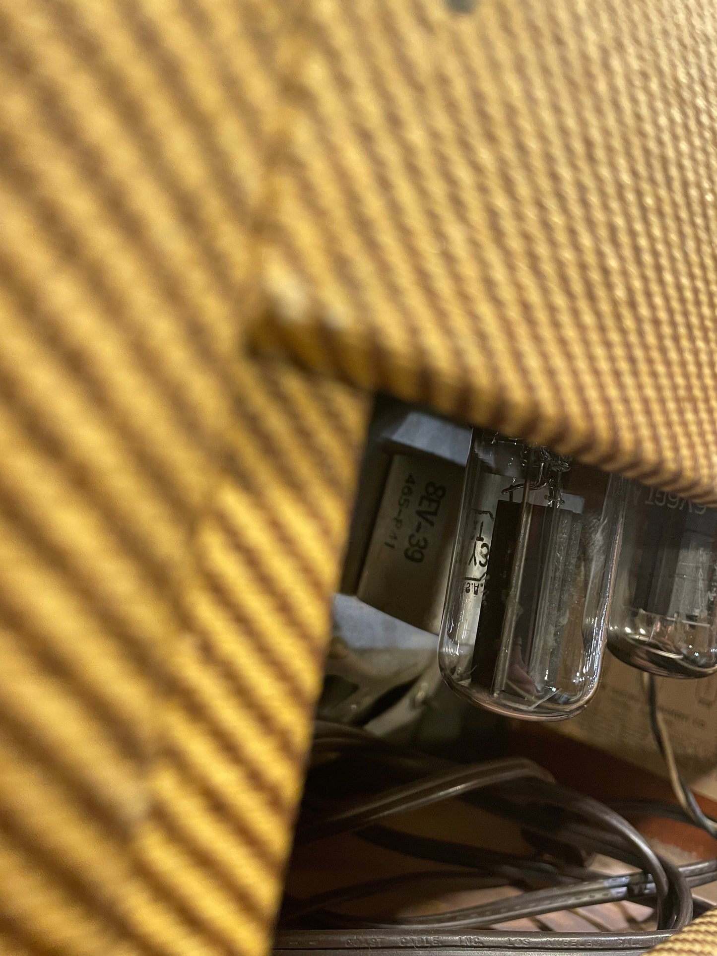 Fender Champ 5F1 1963