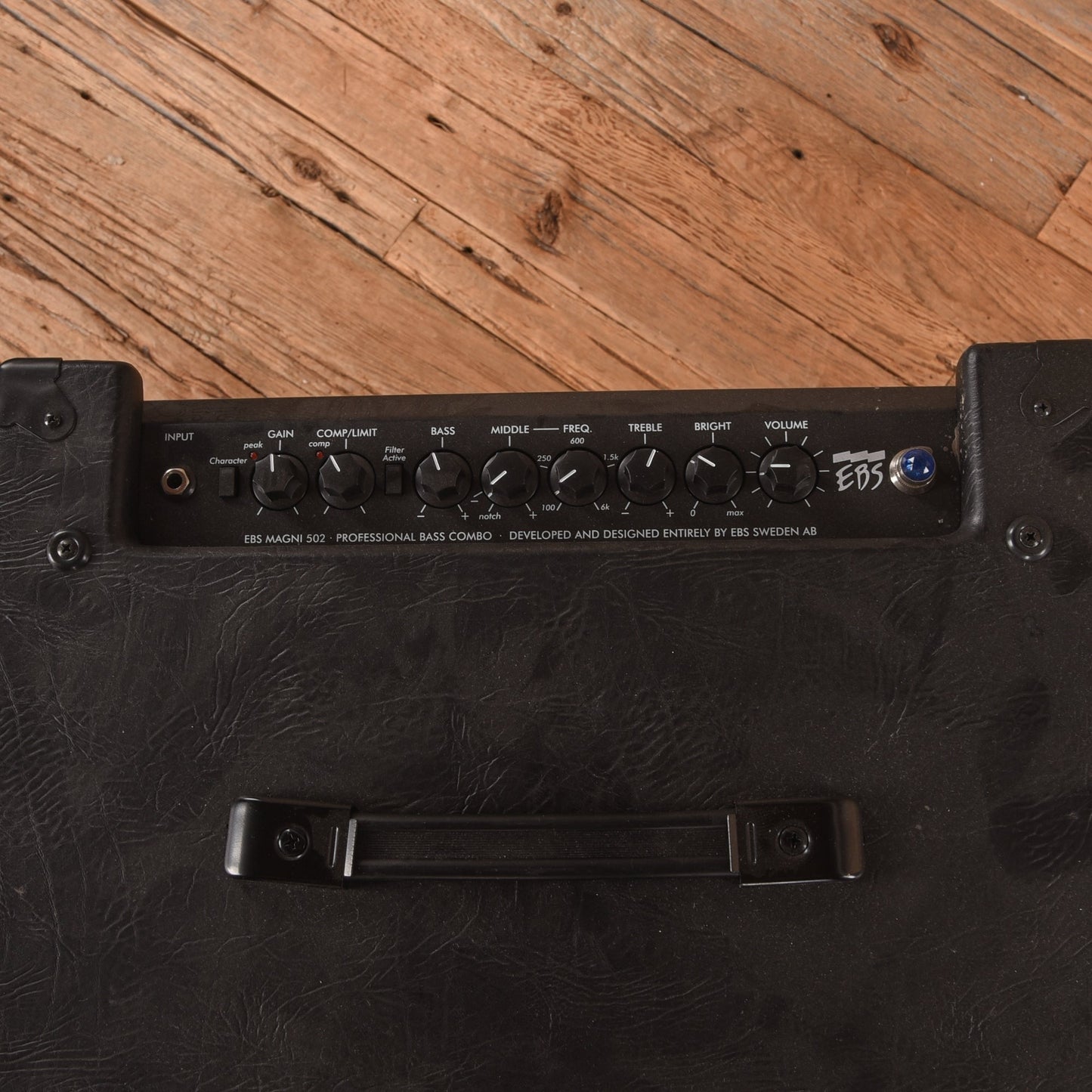 EBS Magni 502 500-Watt 2x10" Bass Combo Amp