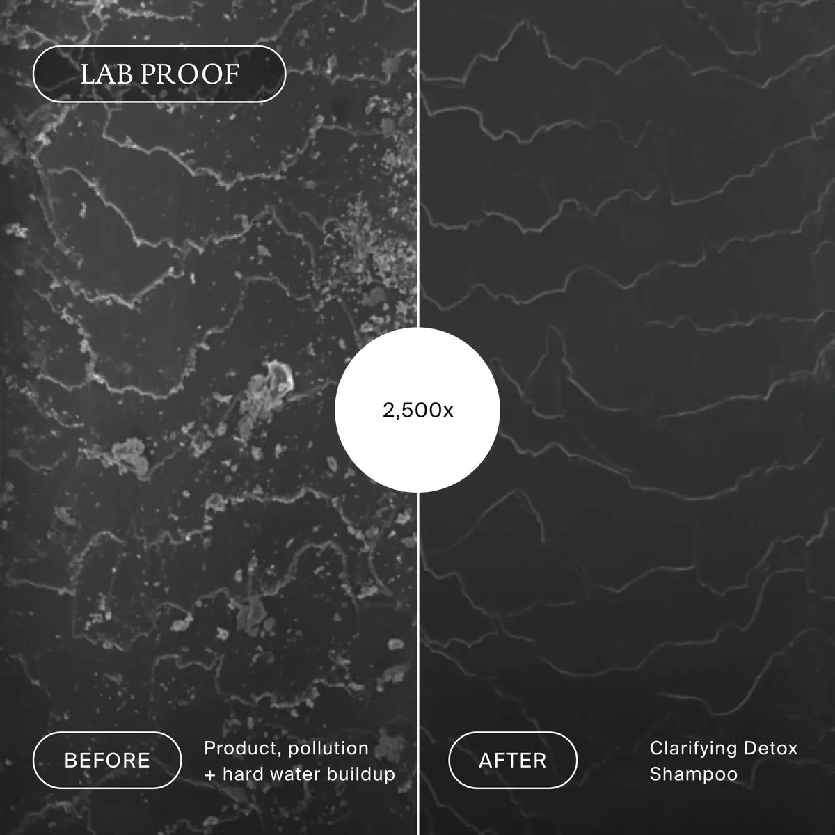 Clarifying Detox Shampoo