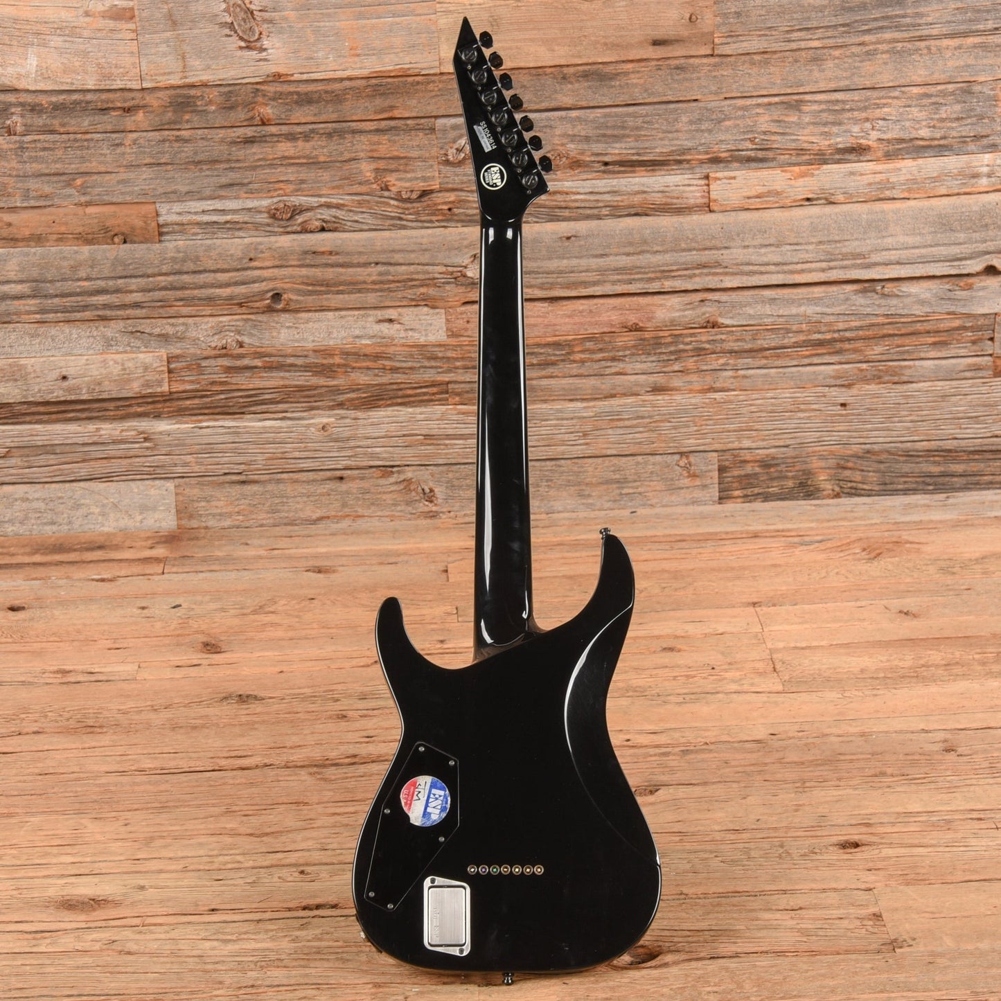 ESP Standard Series Horizon 7 Black 2010