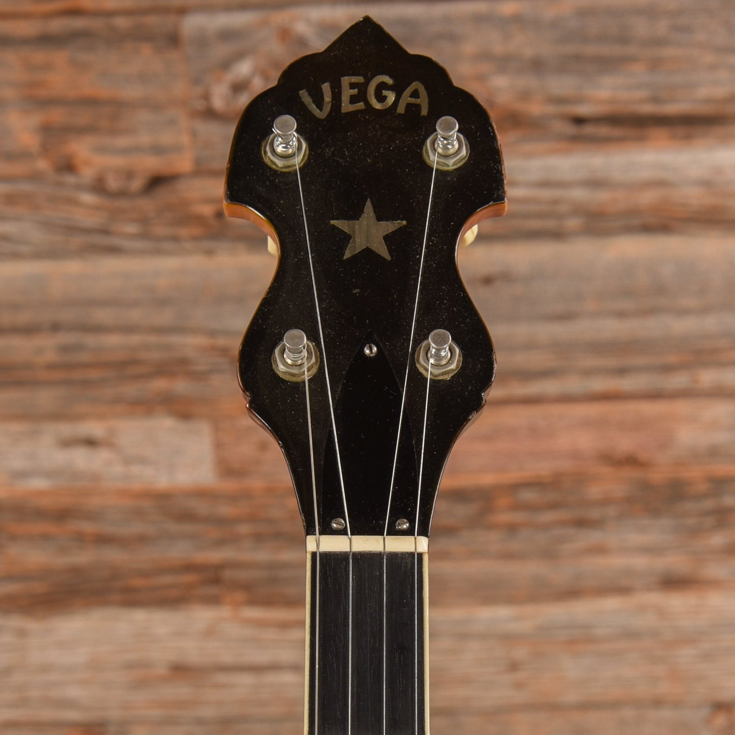Vega Pete Seeger 1960s