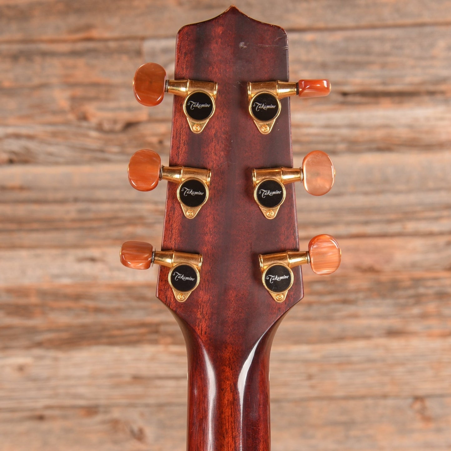 Takamine AN-10 Natural