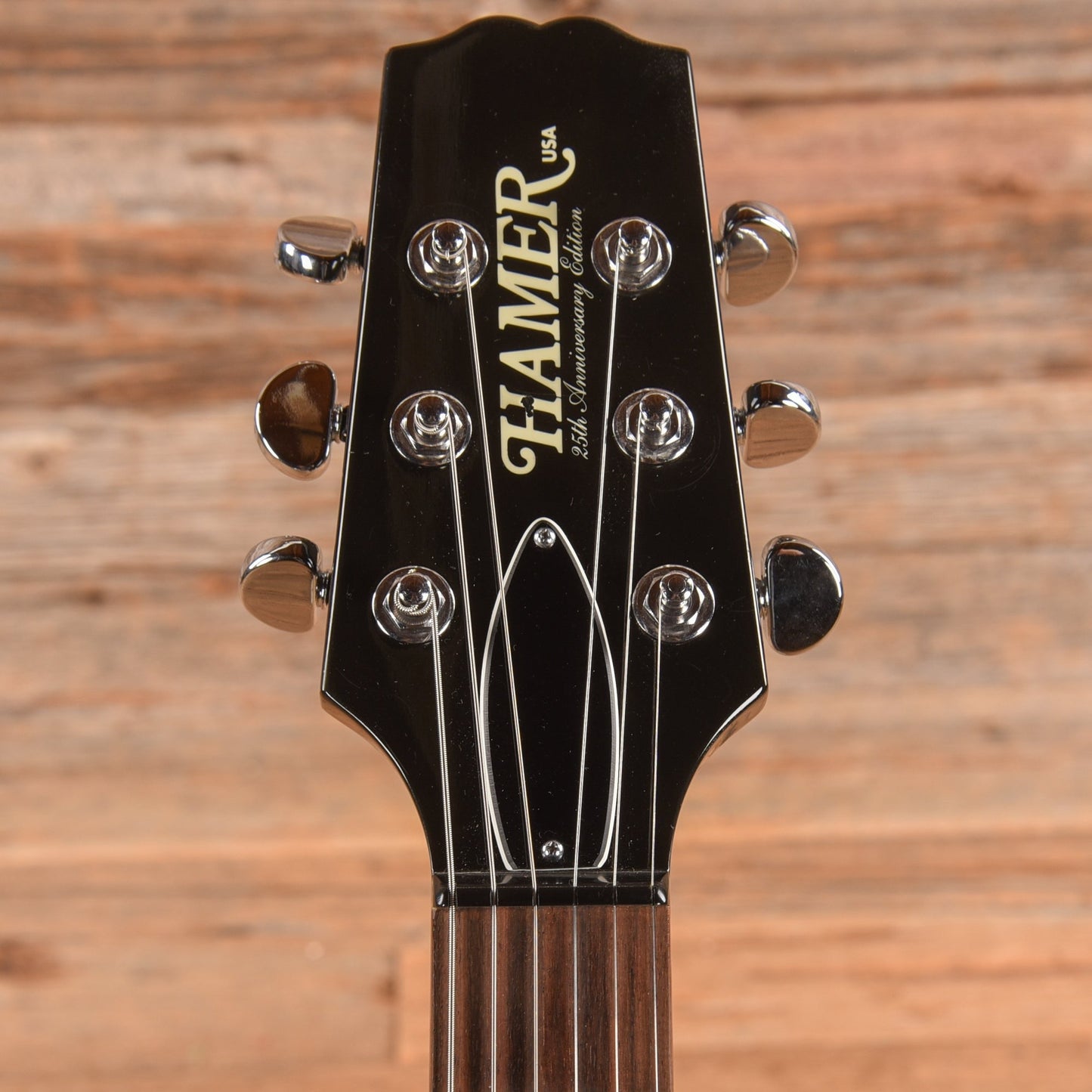 Hamer 25th Anniversary Artist Black