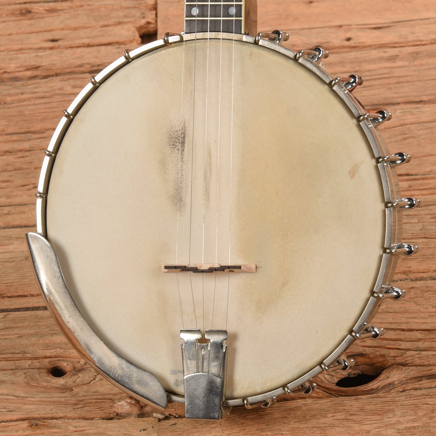 Vega Pete Seeger 1960s