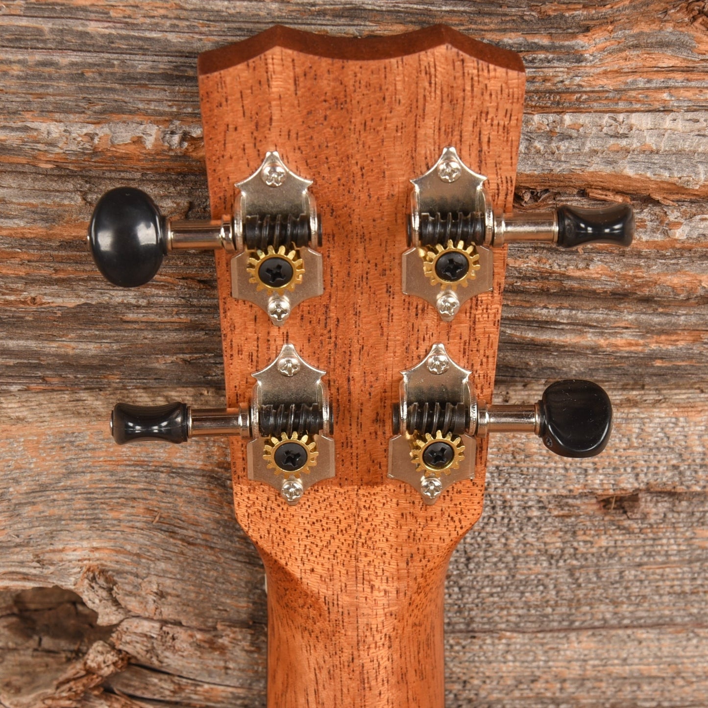 Cordoba 25S Soprano Brown