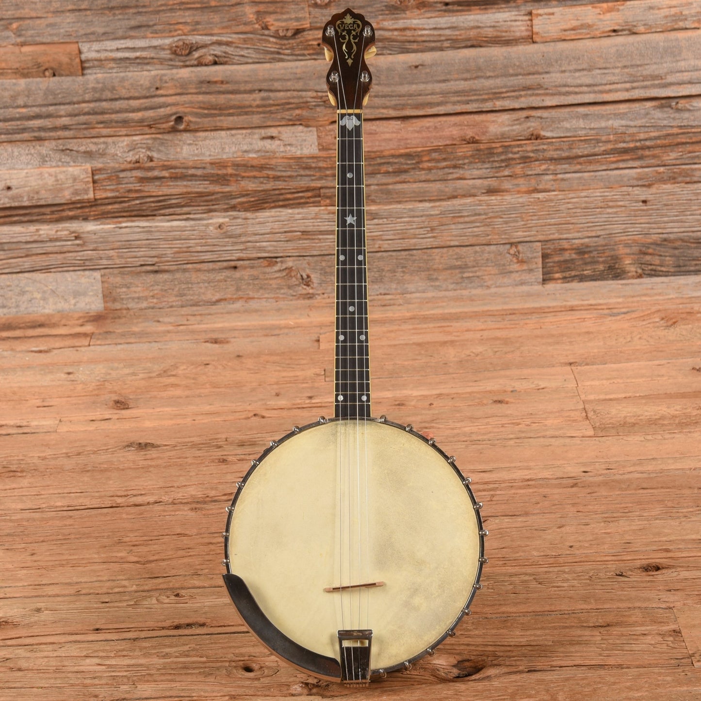 Vega Style M Tenor Banjo 1910