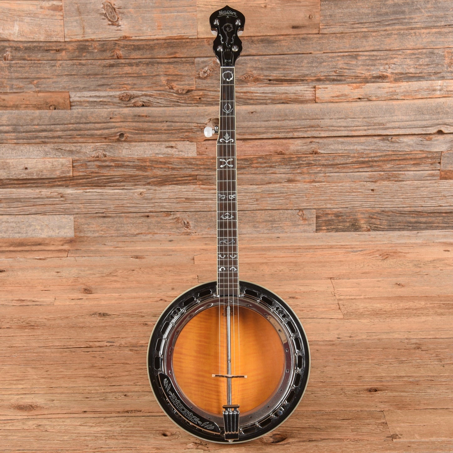 Washburn B-19