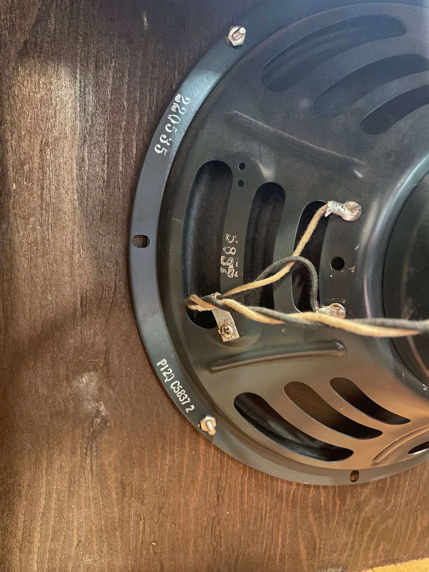 Fender Tremolux 1955