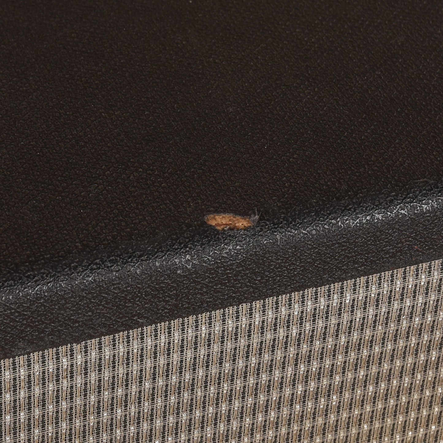 Sunn Model 412