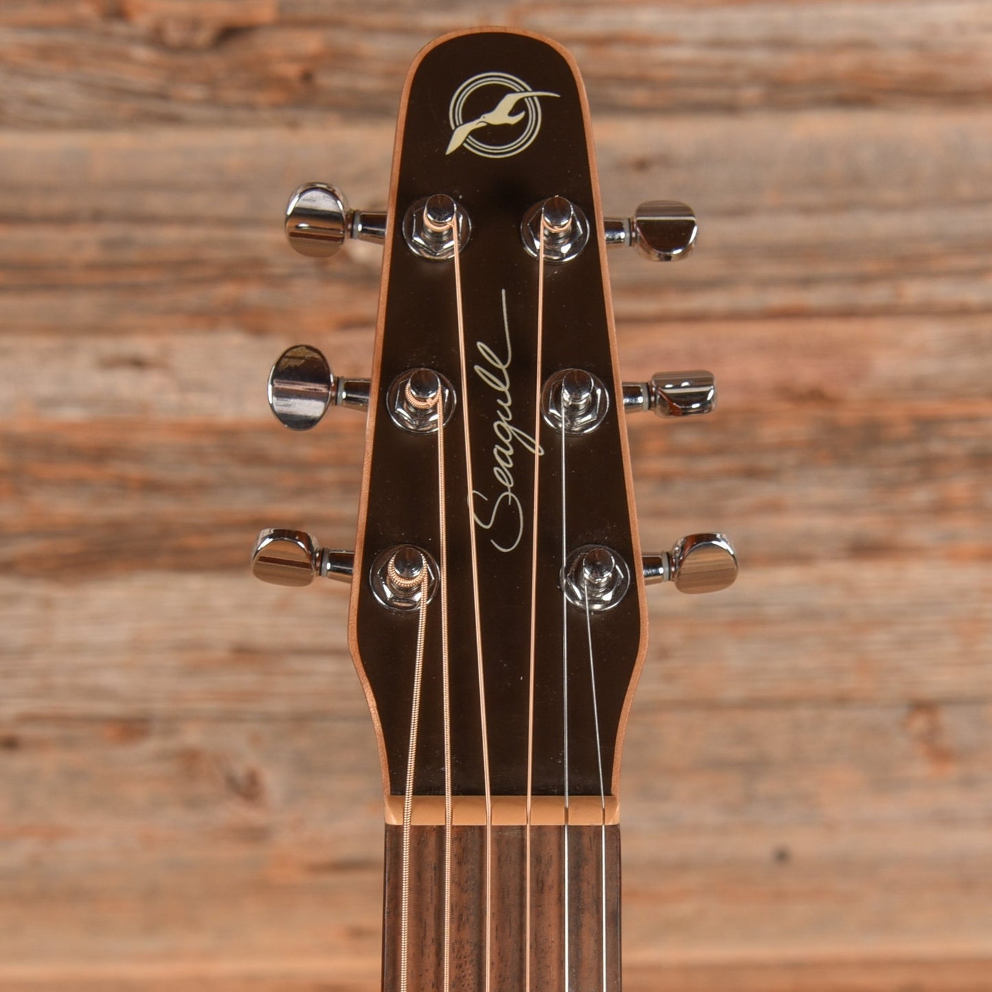 Seagull Coastline S6 Folk Cedar Natural