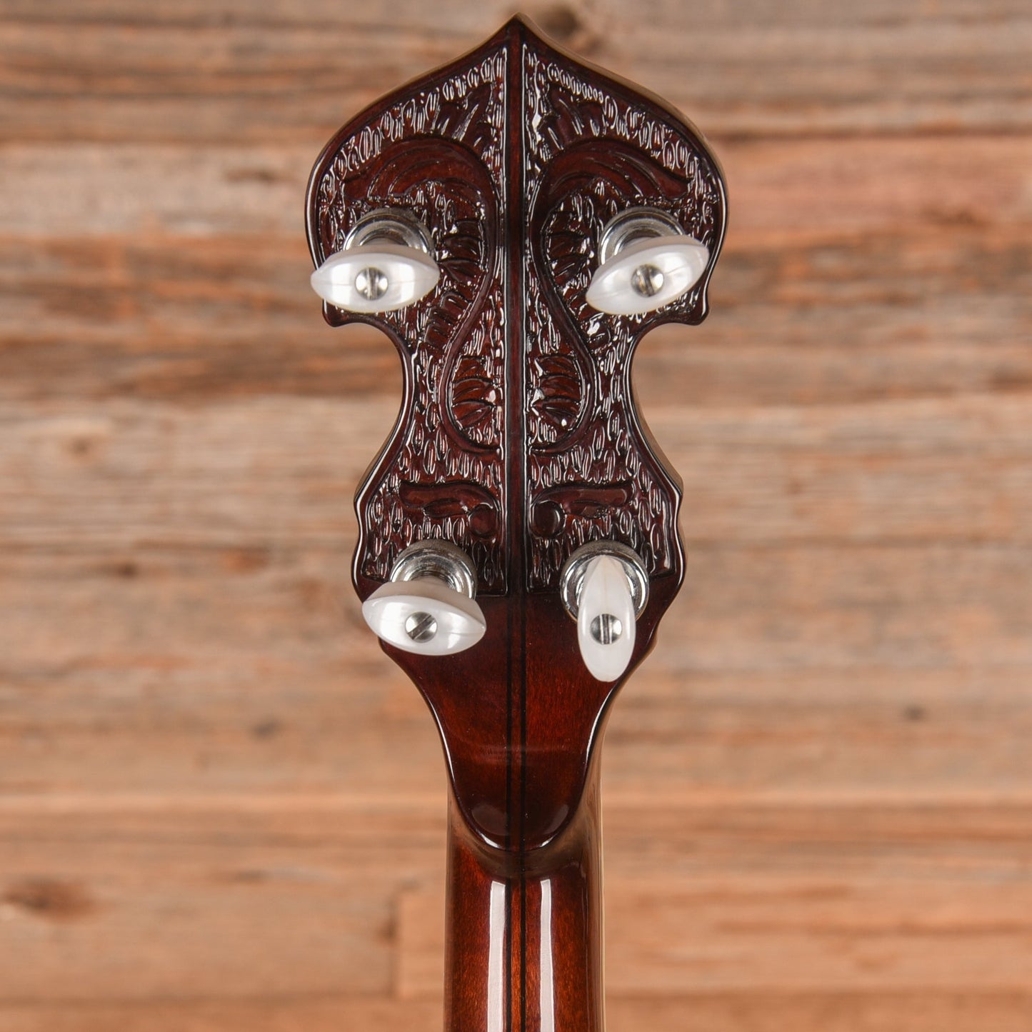 Washburn B-19