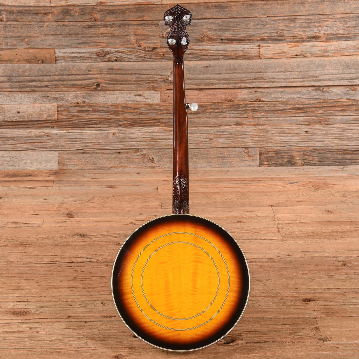 Washburn B-19