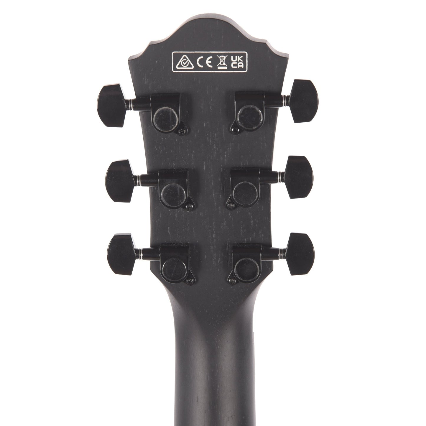 Ibanez AEG621BOT AEG Acoustic-Electric Guitar Black Out