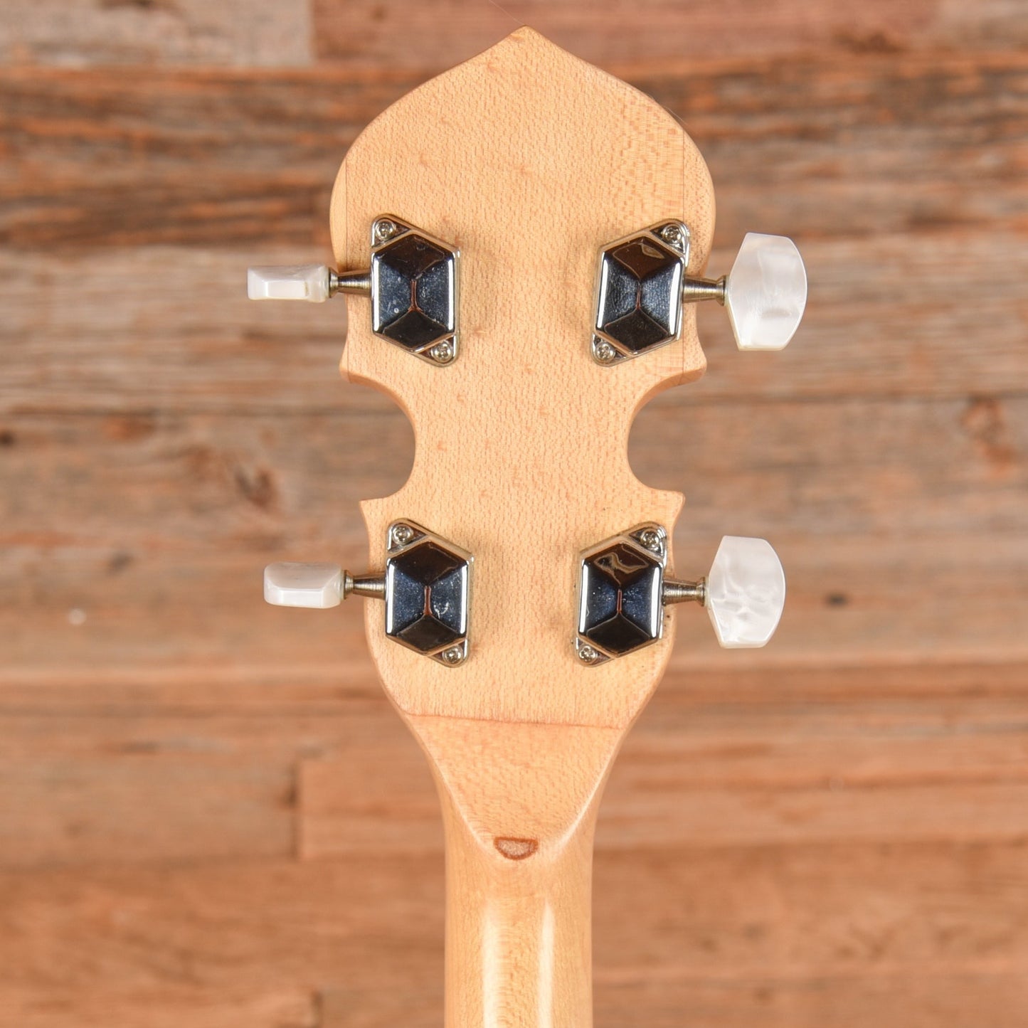 Gold Tone CC-Tenor