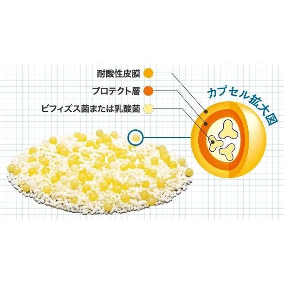森下仁丹 - Health Aid Bifina R 25億益生菌乳酸菌20條