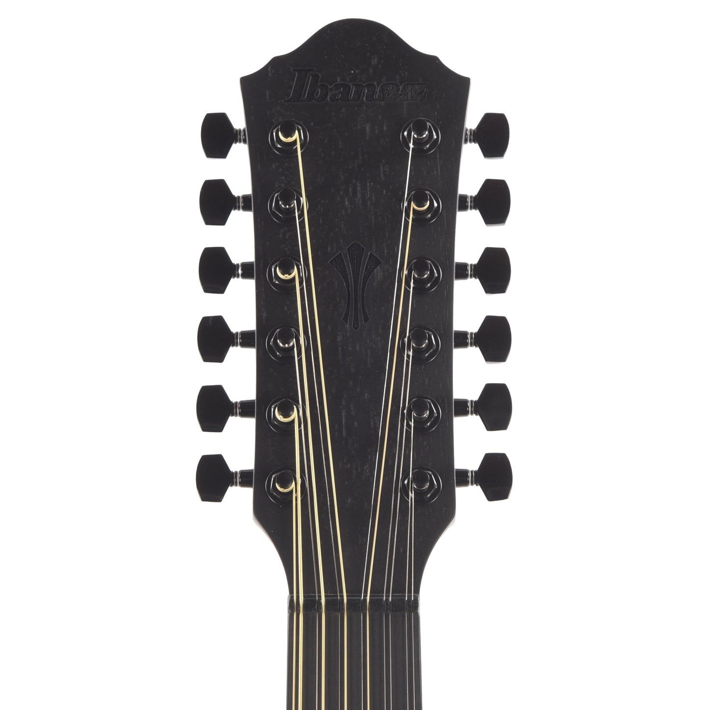 Ibanez AEG1221BOT AEG 12-String Acoustic-Electric Guitar Black Out