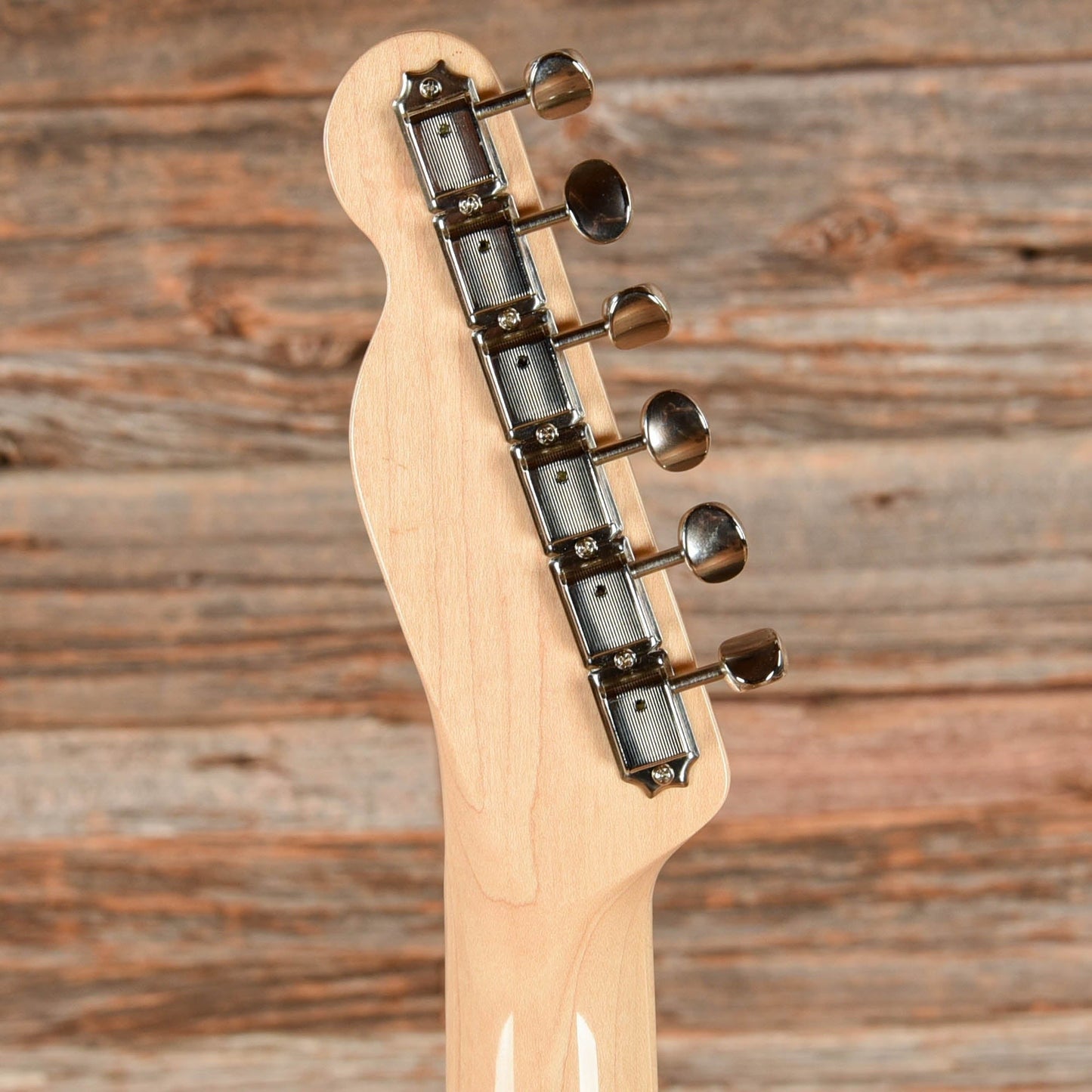 Fender Classic '69 Telecaster Blue Flower 2016