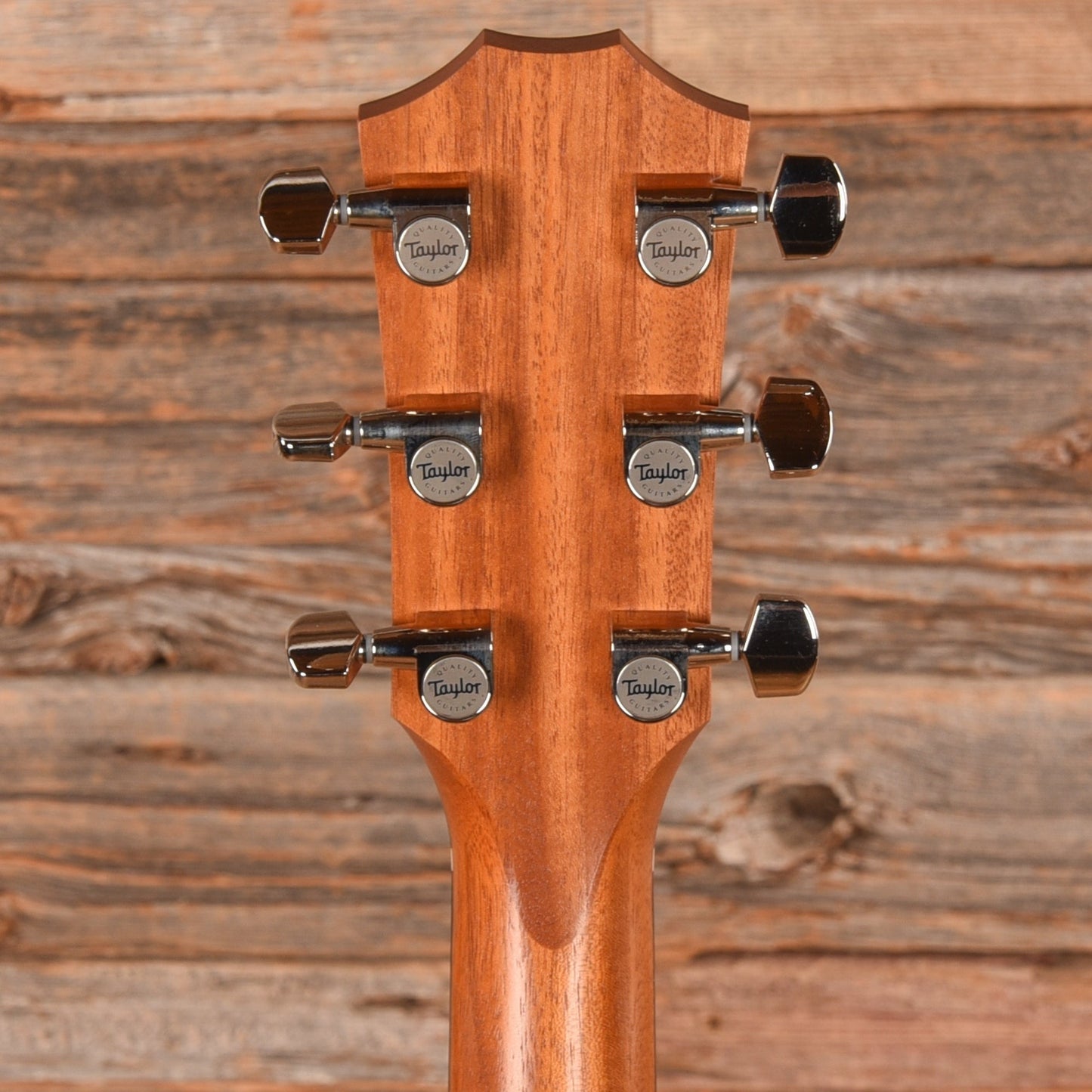 Taylor 210ce Plus Natural 2024