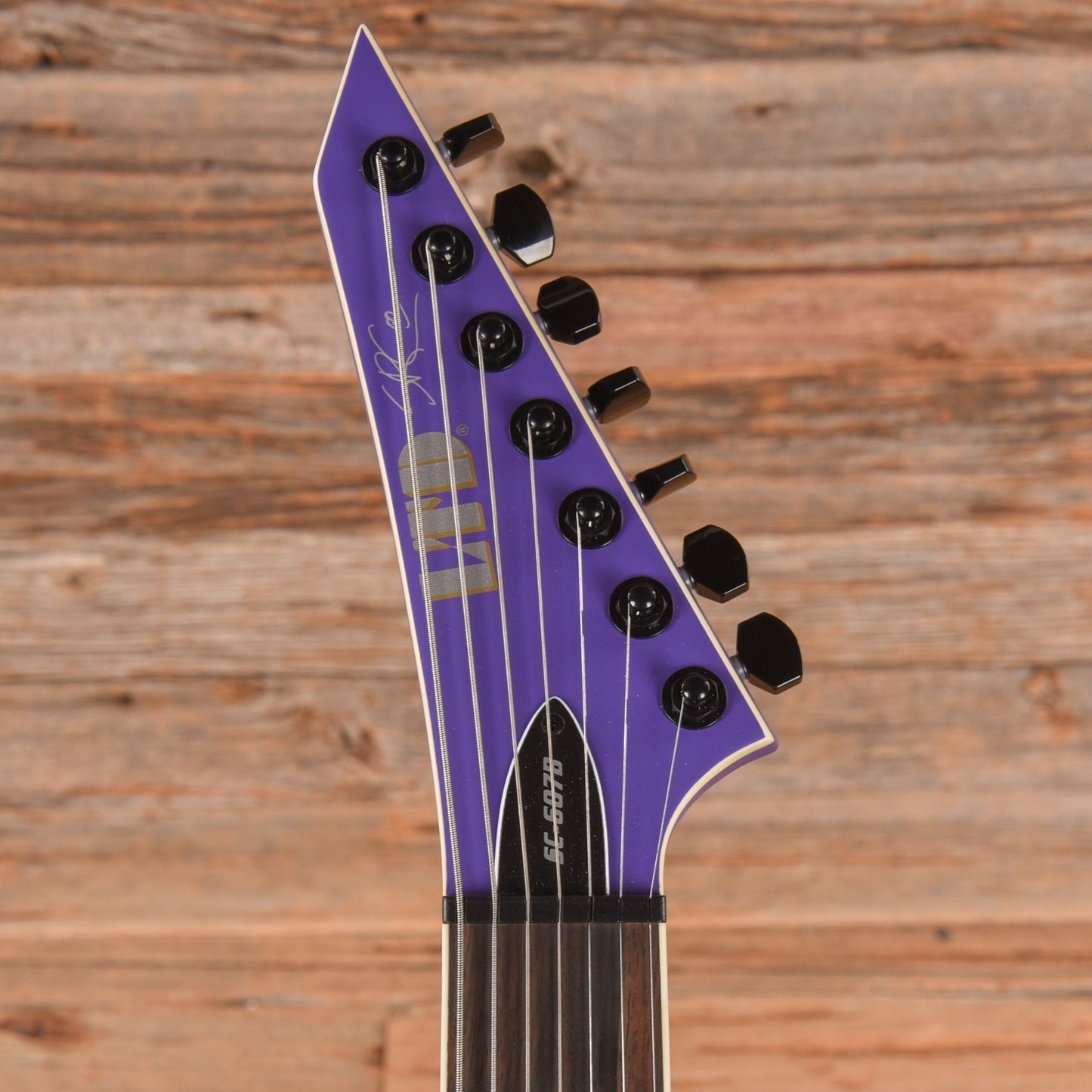 LTD SC-607B Stephen Carpenter Signature Purple 2022