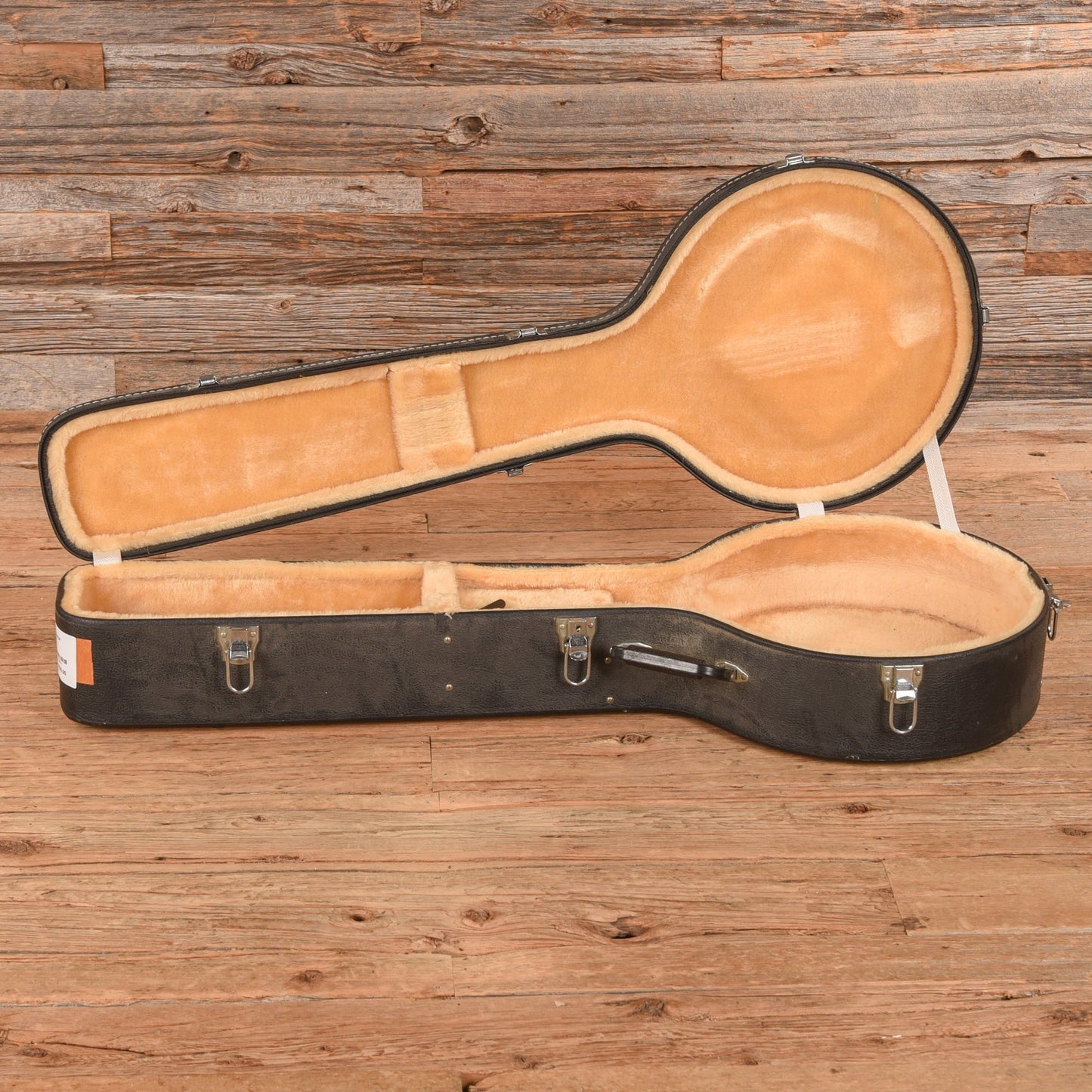 Washburn B-19