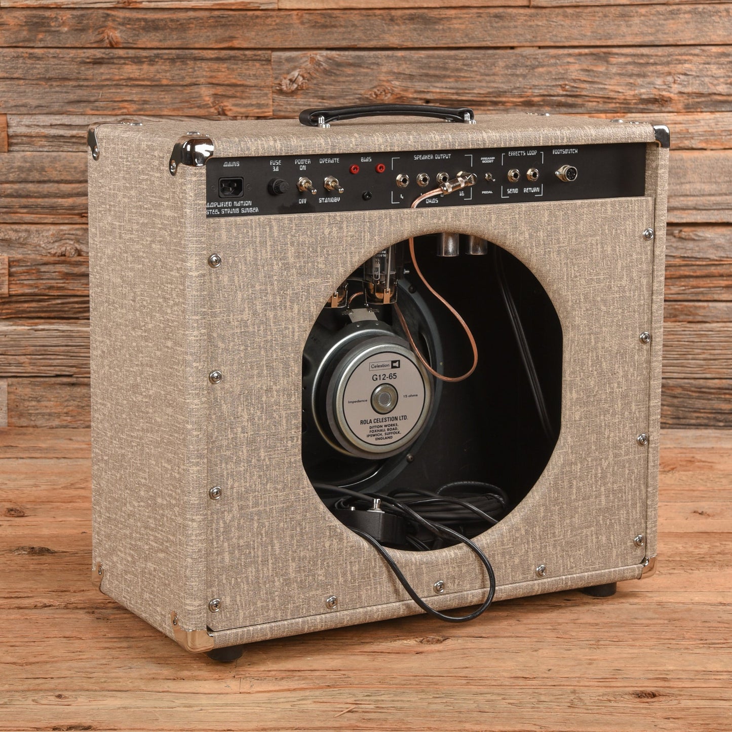 Amplified Nation Steel String Singer 50-Watt 1x12" Guitar Combo Amp