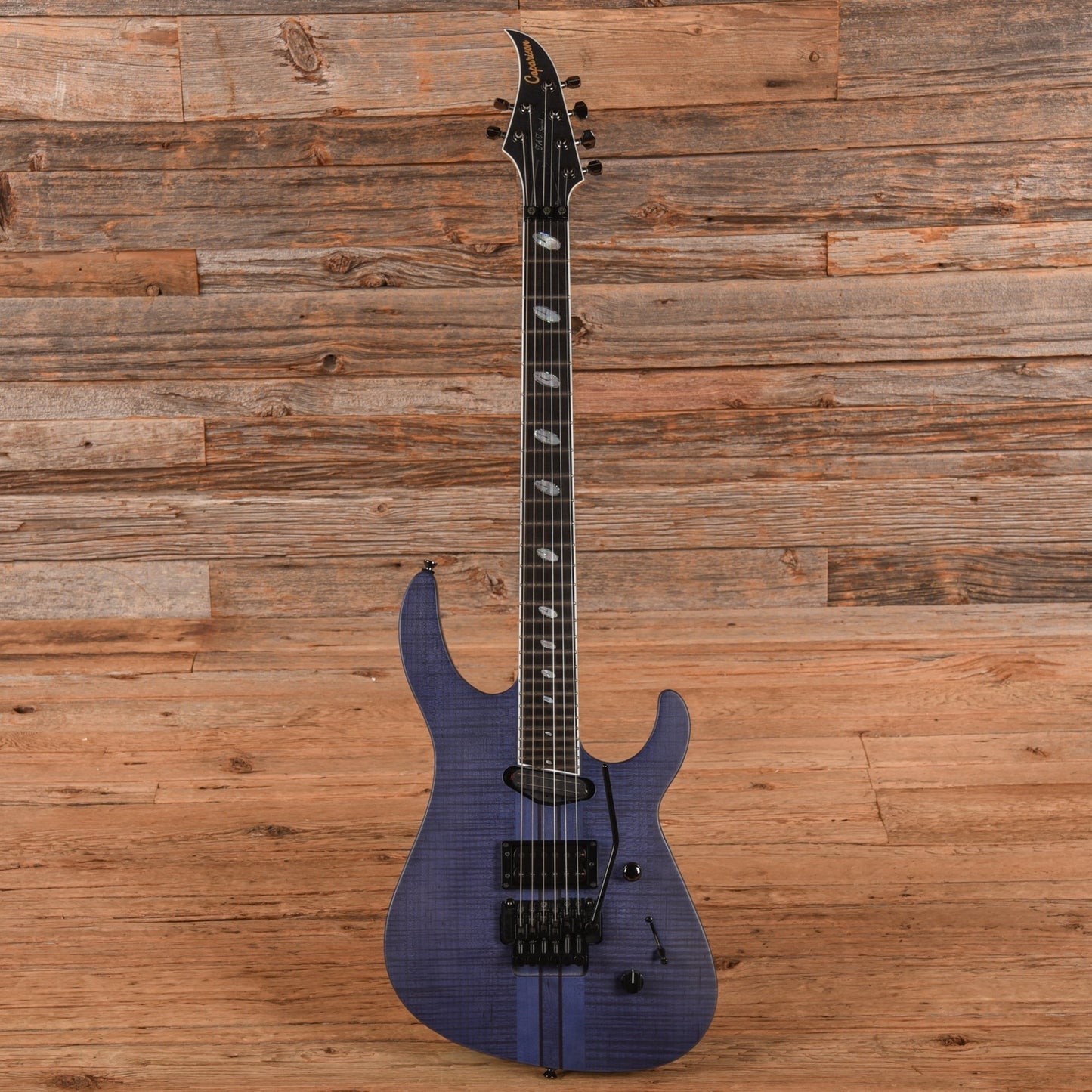 Caparison TAT-Special FM Blue Berry Matt