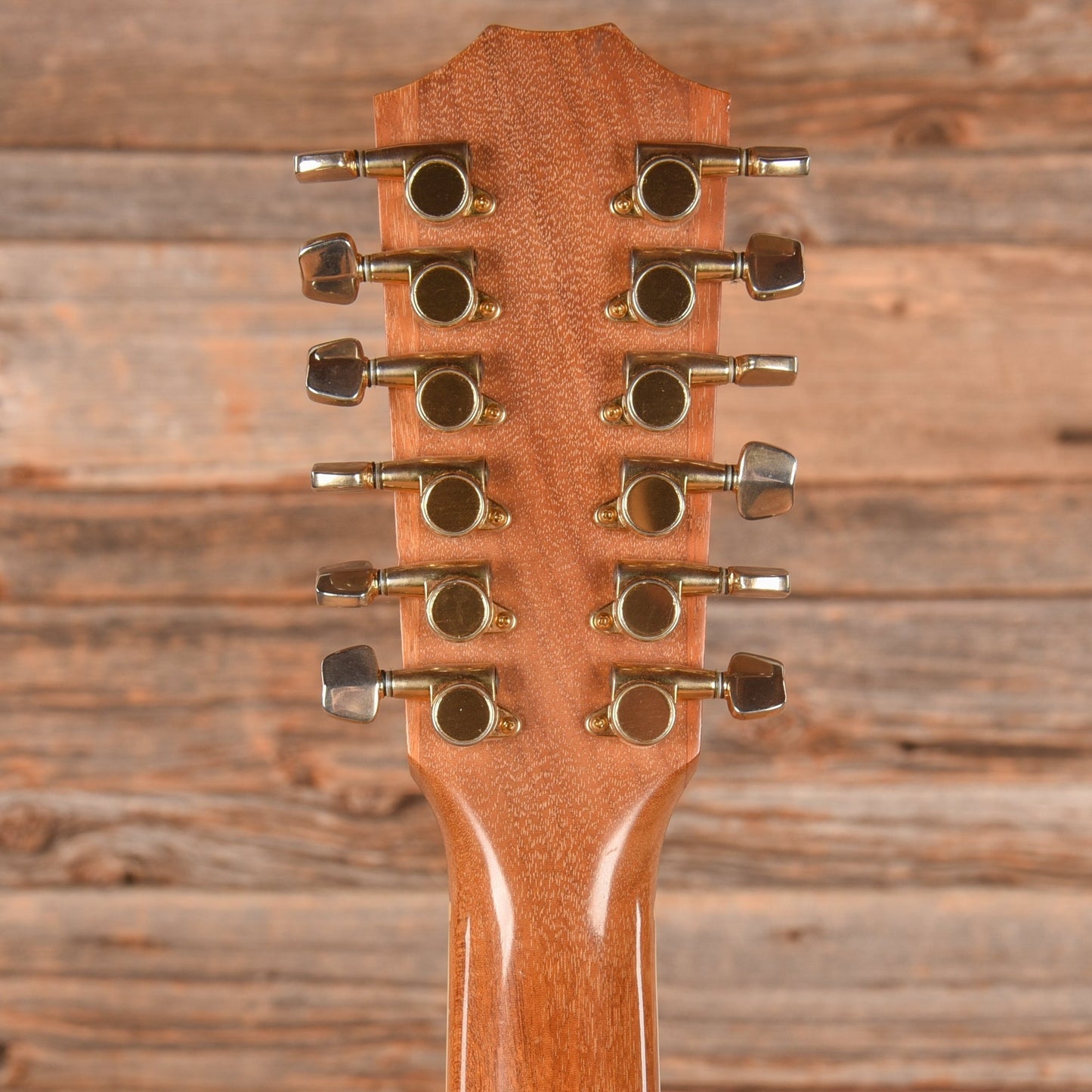 Taylor 655 Natural 1984