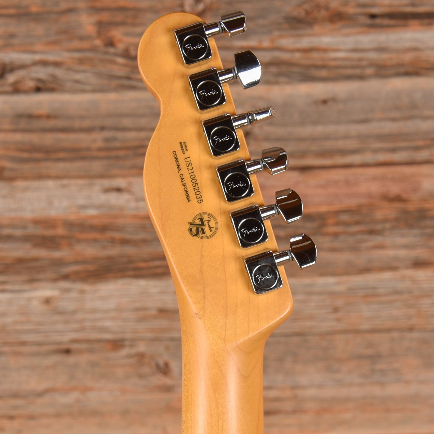 Fender American Professional II Telecaster Roasted Pine Natural 2021