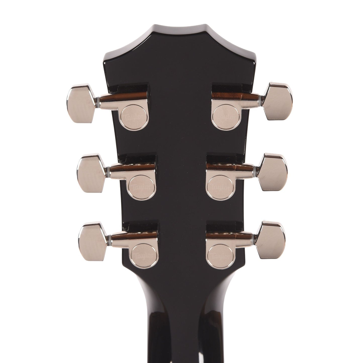 Taylor T5z Pro Figured Big Leaf Maple Harbor Blue