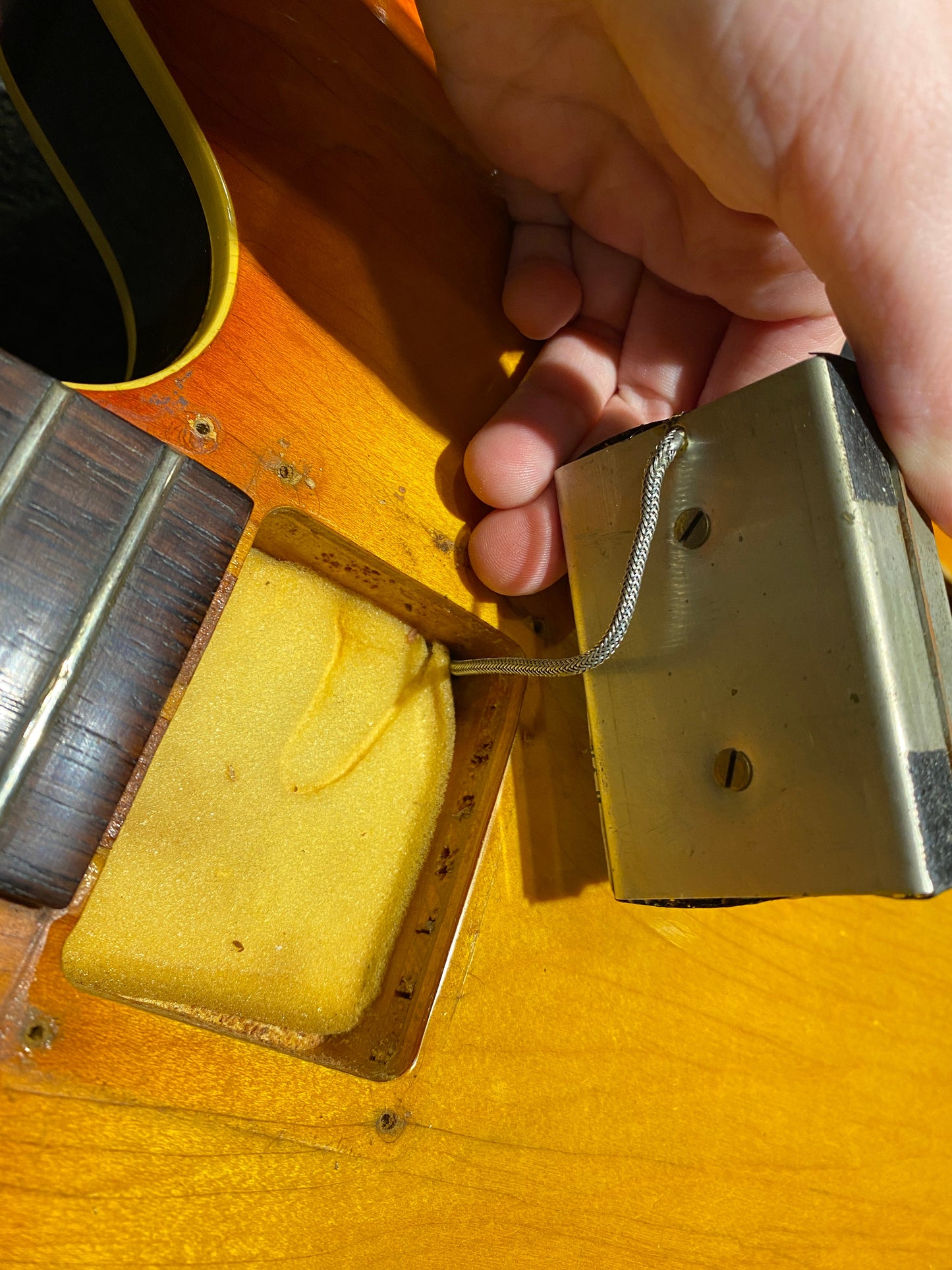 Epiphone Rivoli Sunburst 1966