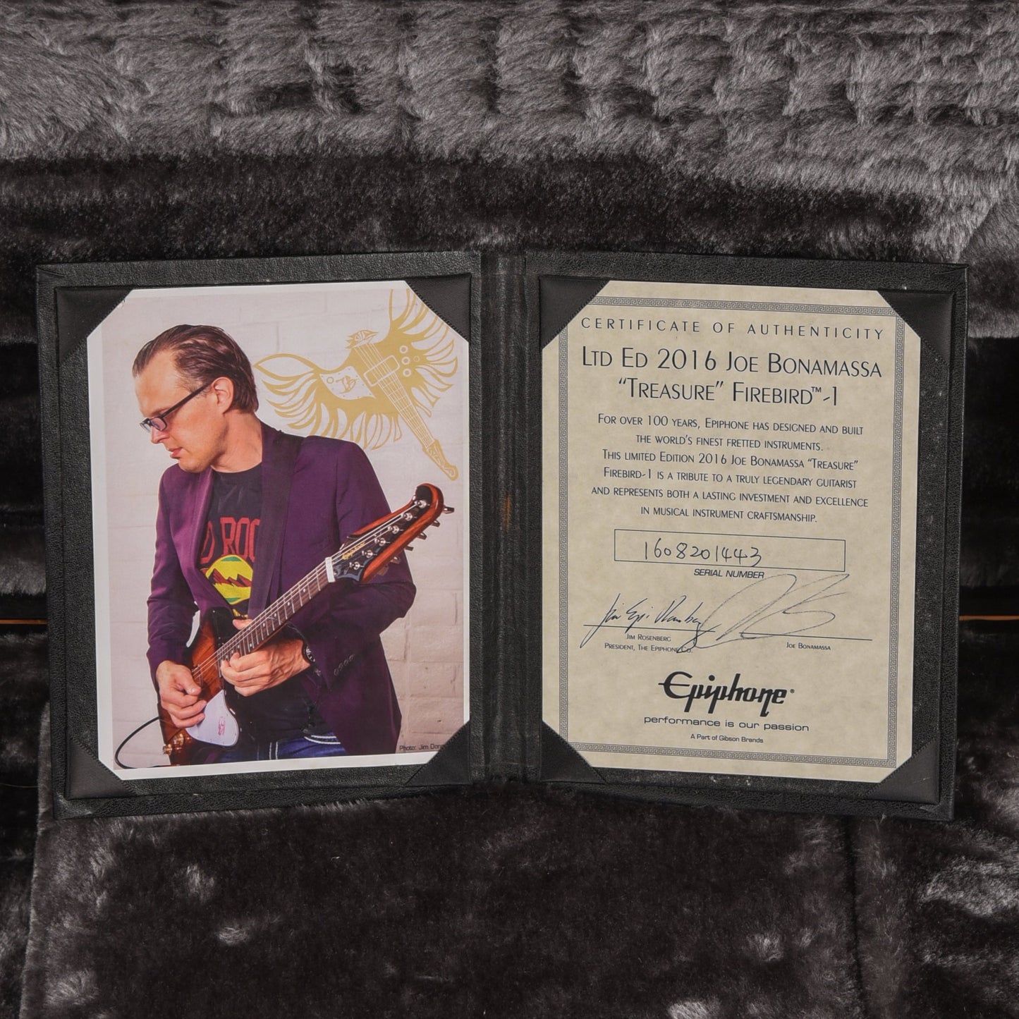 Epiphone Joe Bonamassa Signature "Treasure" Firebird I Polymist Gold 2016