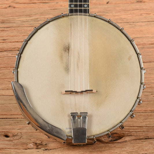Vega Pete Seeger 1960s