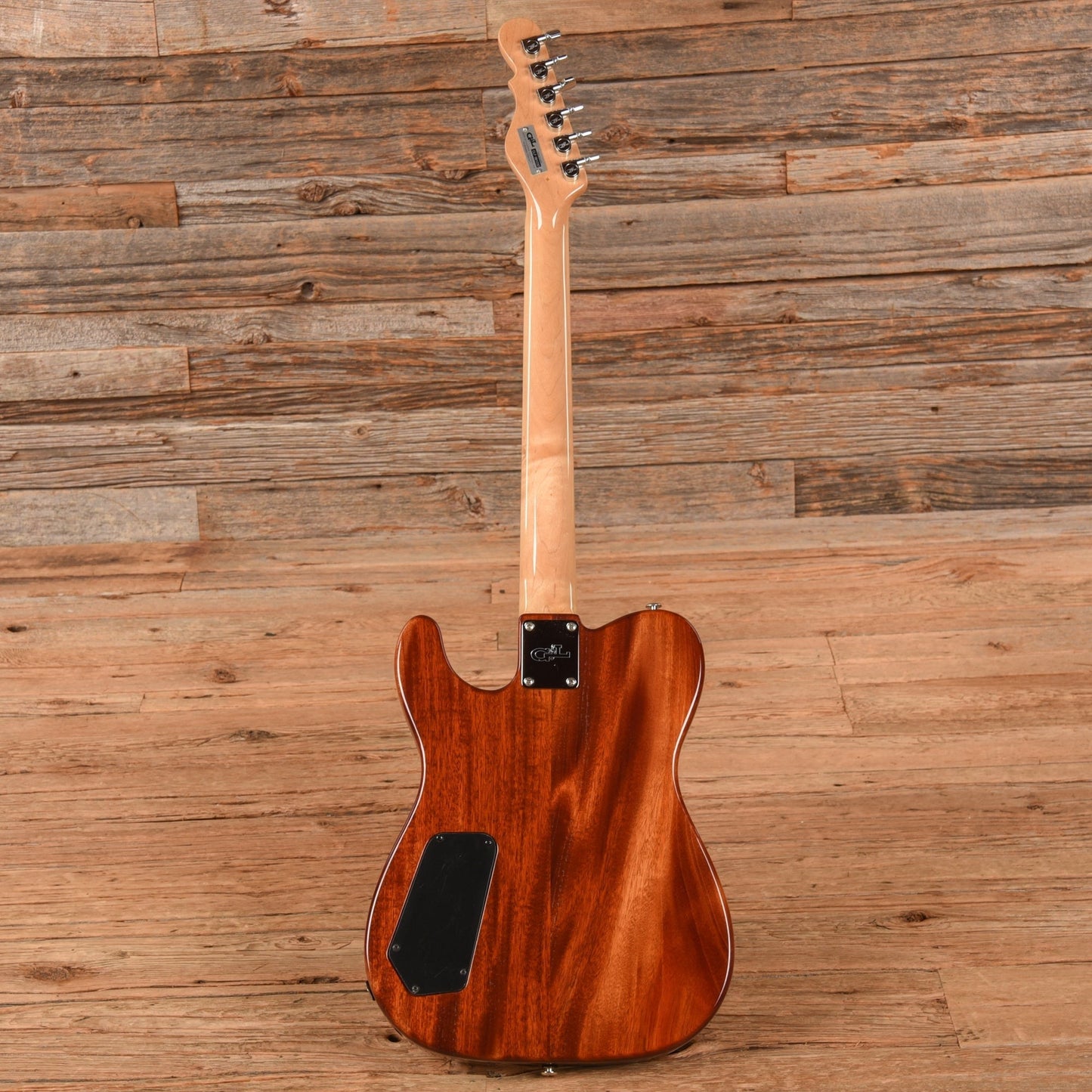 G&L USA ASAT Deluxe Natural