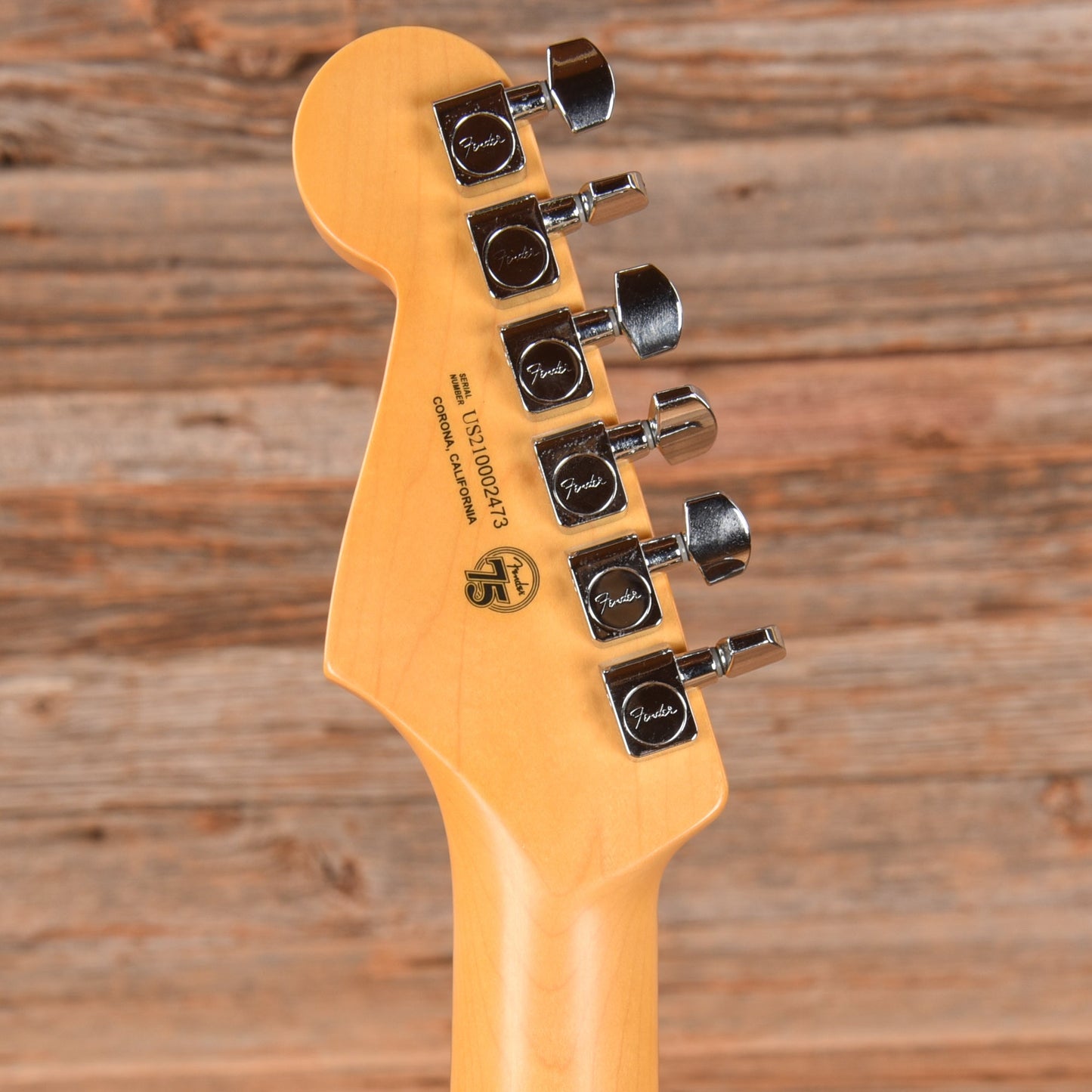 Fender American Professional II Stratocaster Roasted Pine Stripped Natural 2021