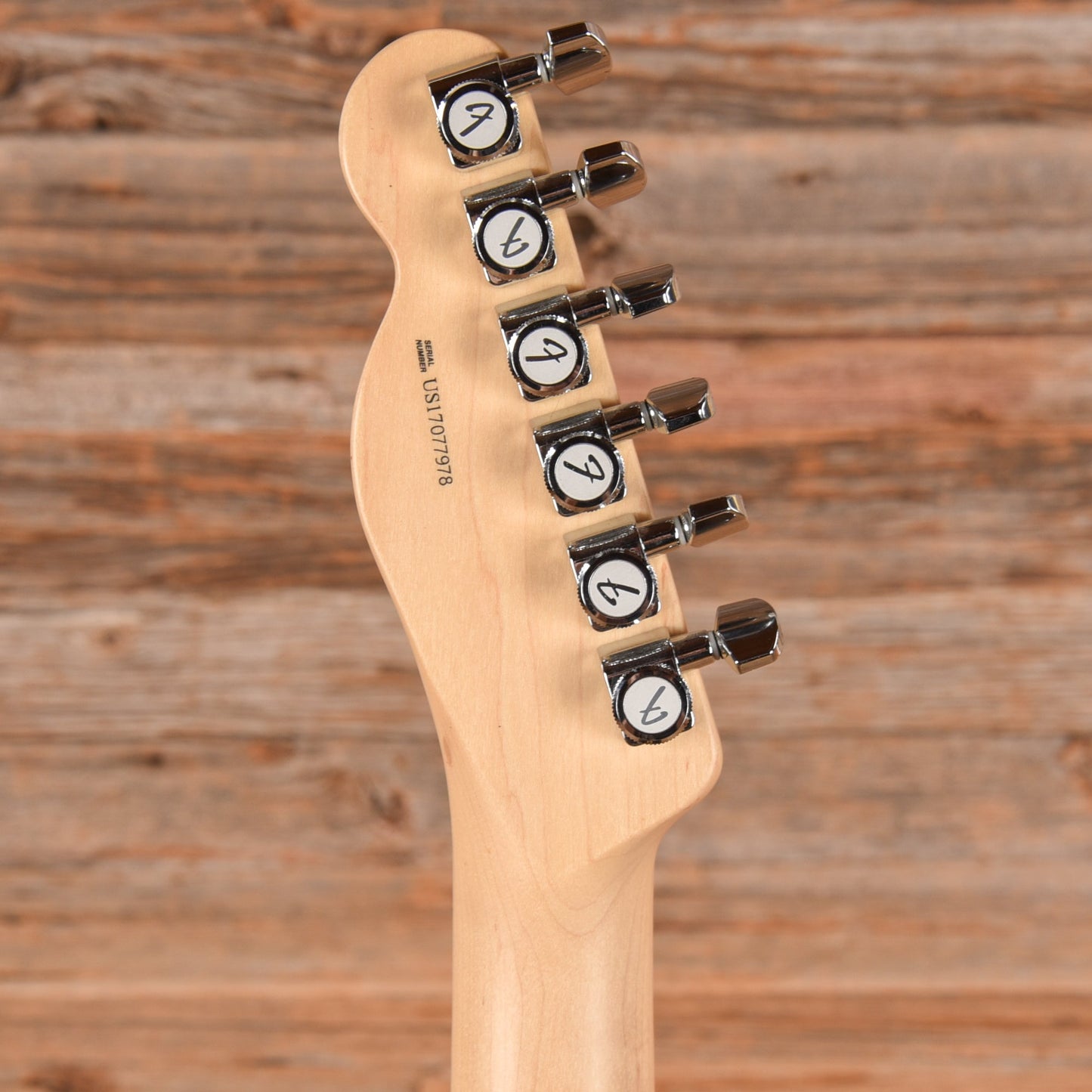 Fender American Professional Telecaster Neck with American Standard Body Monster Energy