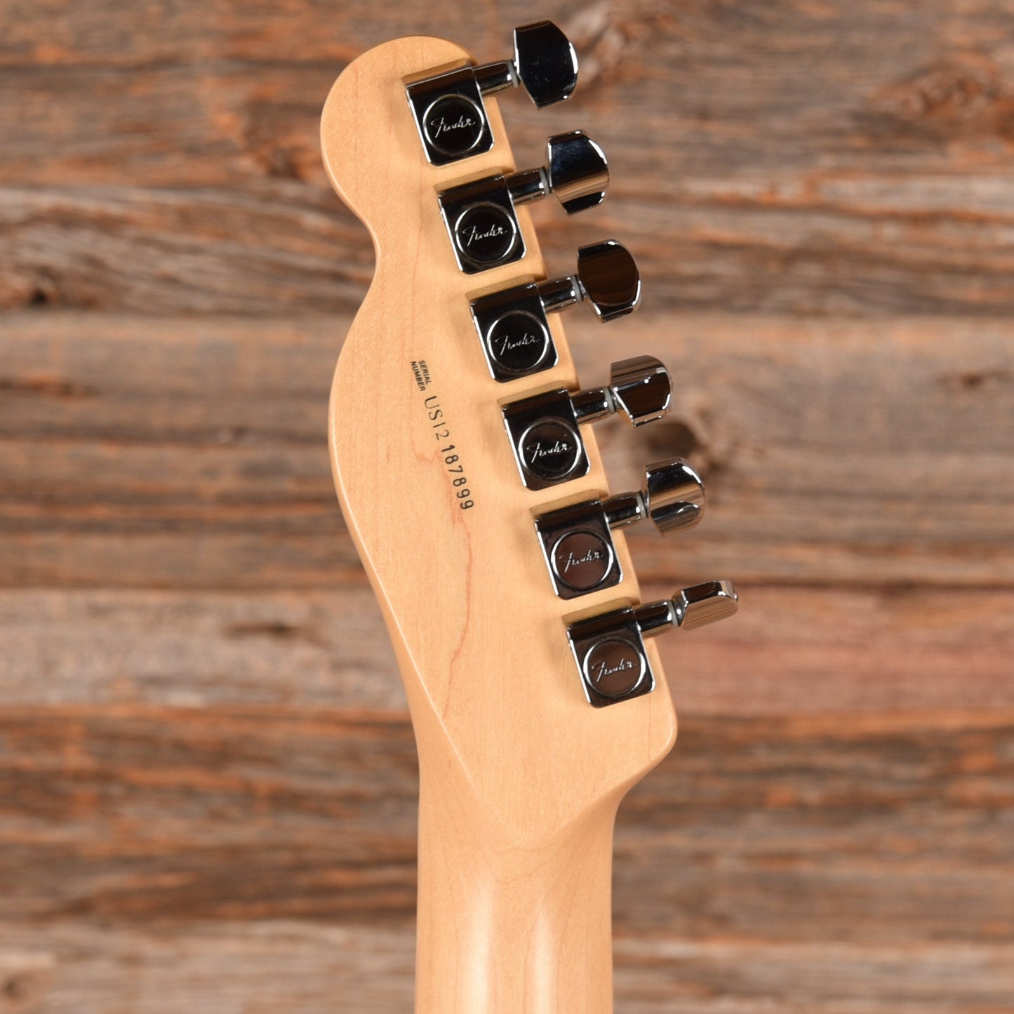 Fender American Standard Telecaster Neck with Allparts Body Black Paisley