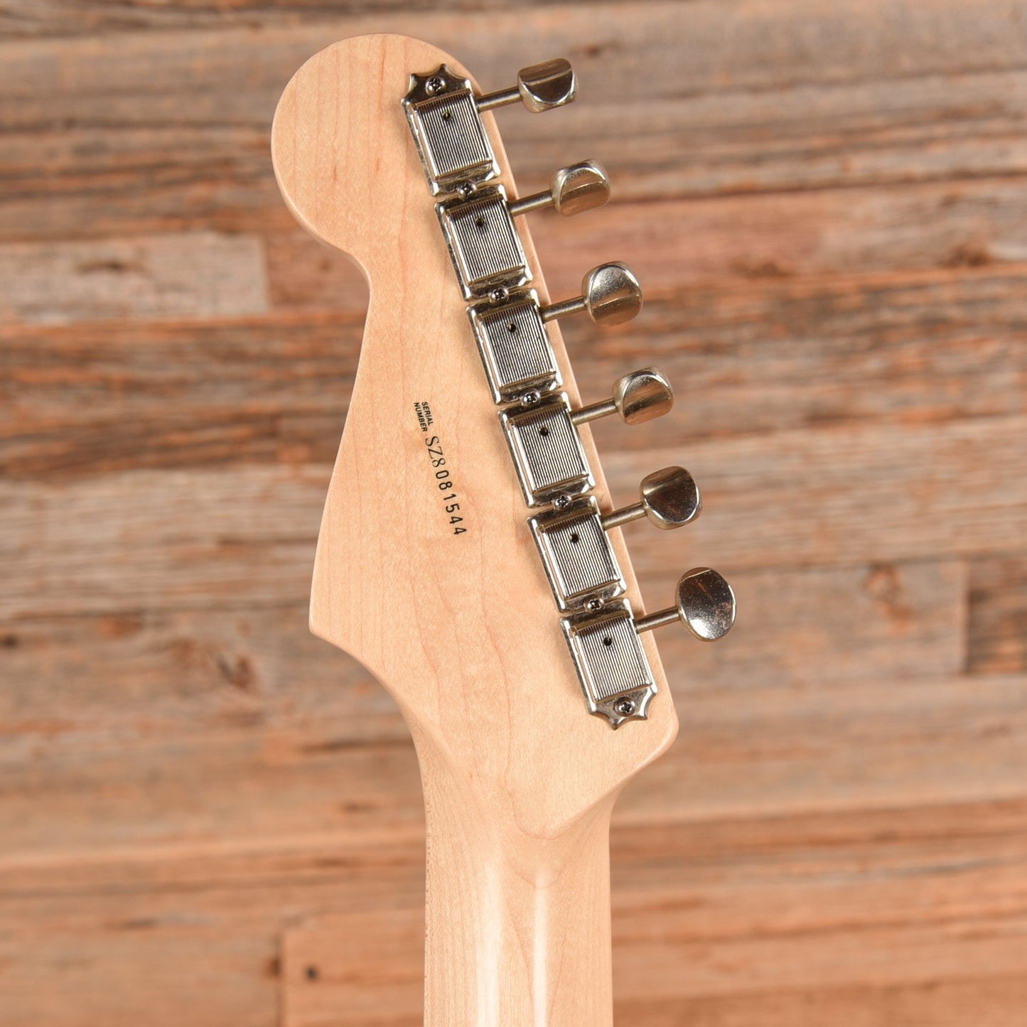 Fender Artist Eric Clapton Stratocaster Neck with Allparts Body Black Paisley