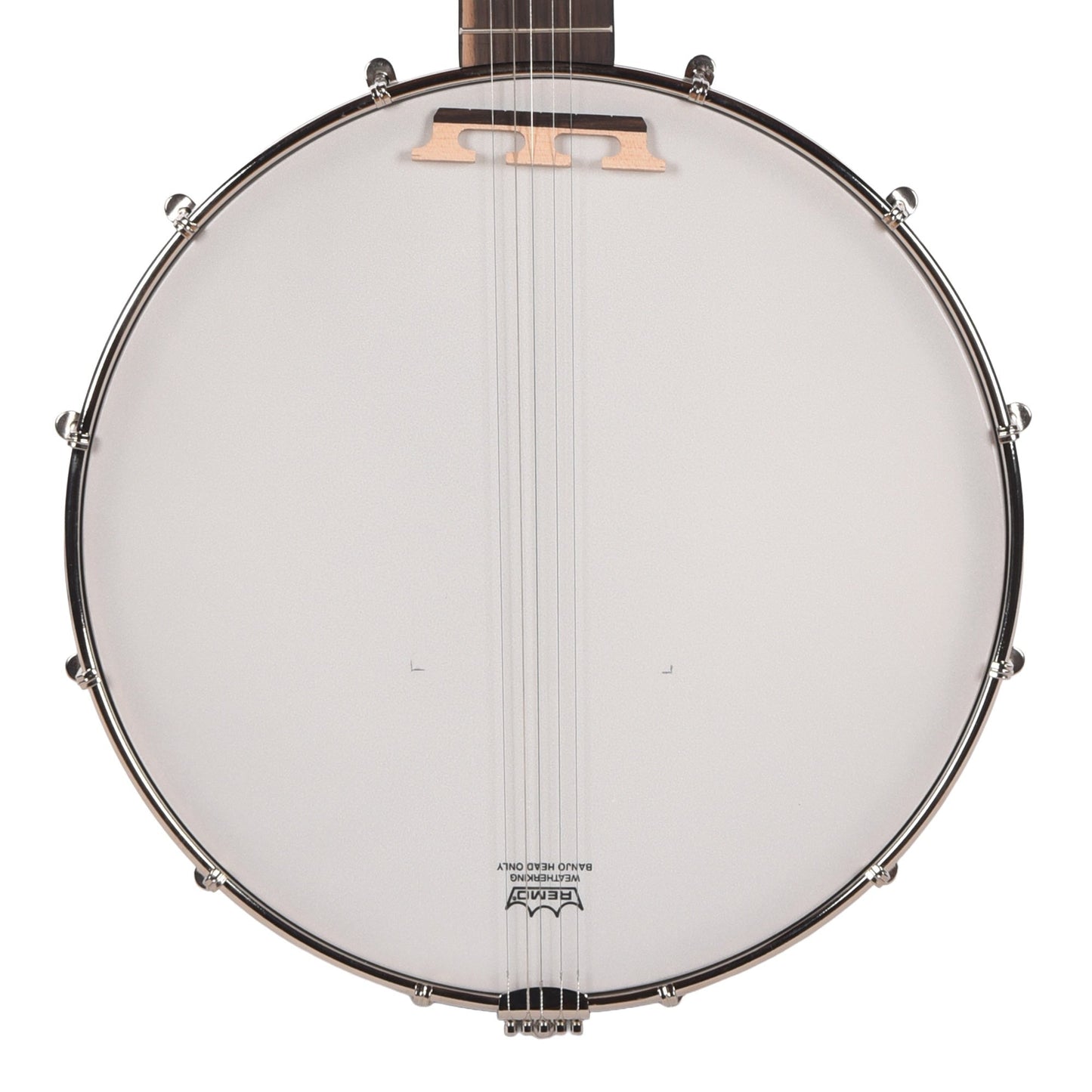 Recording King Dirty 30s Open Back Banjo