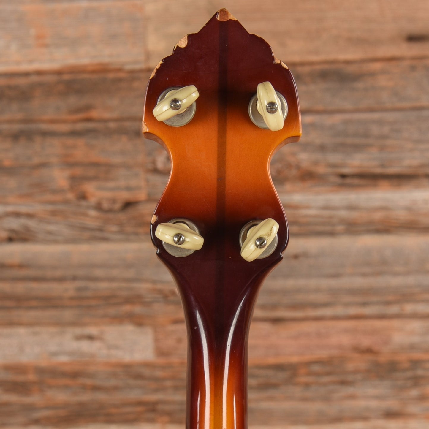 Vega Pete Seeger 1960s