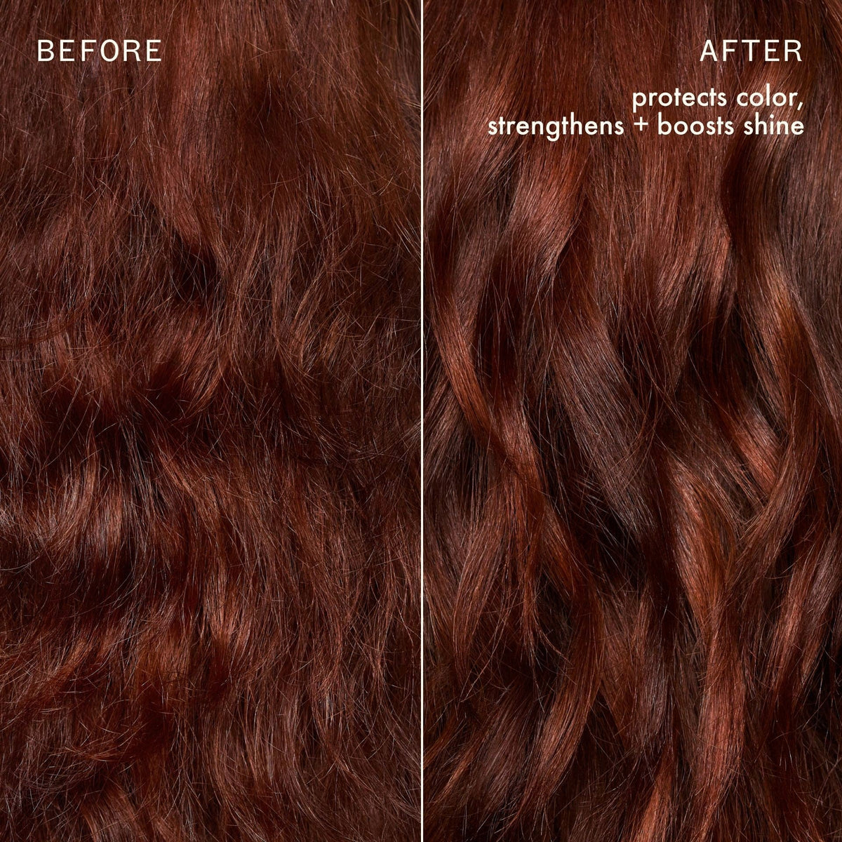 the protector | color protect + strengthen shampoo