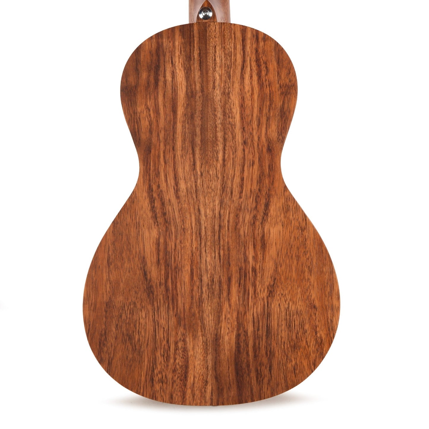 Ibanez PN2WSOPB Parlor 2 Acoustic Guitar Open Pore Brown