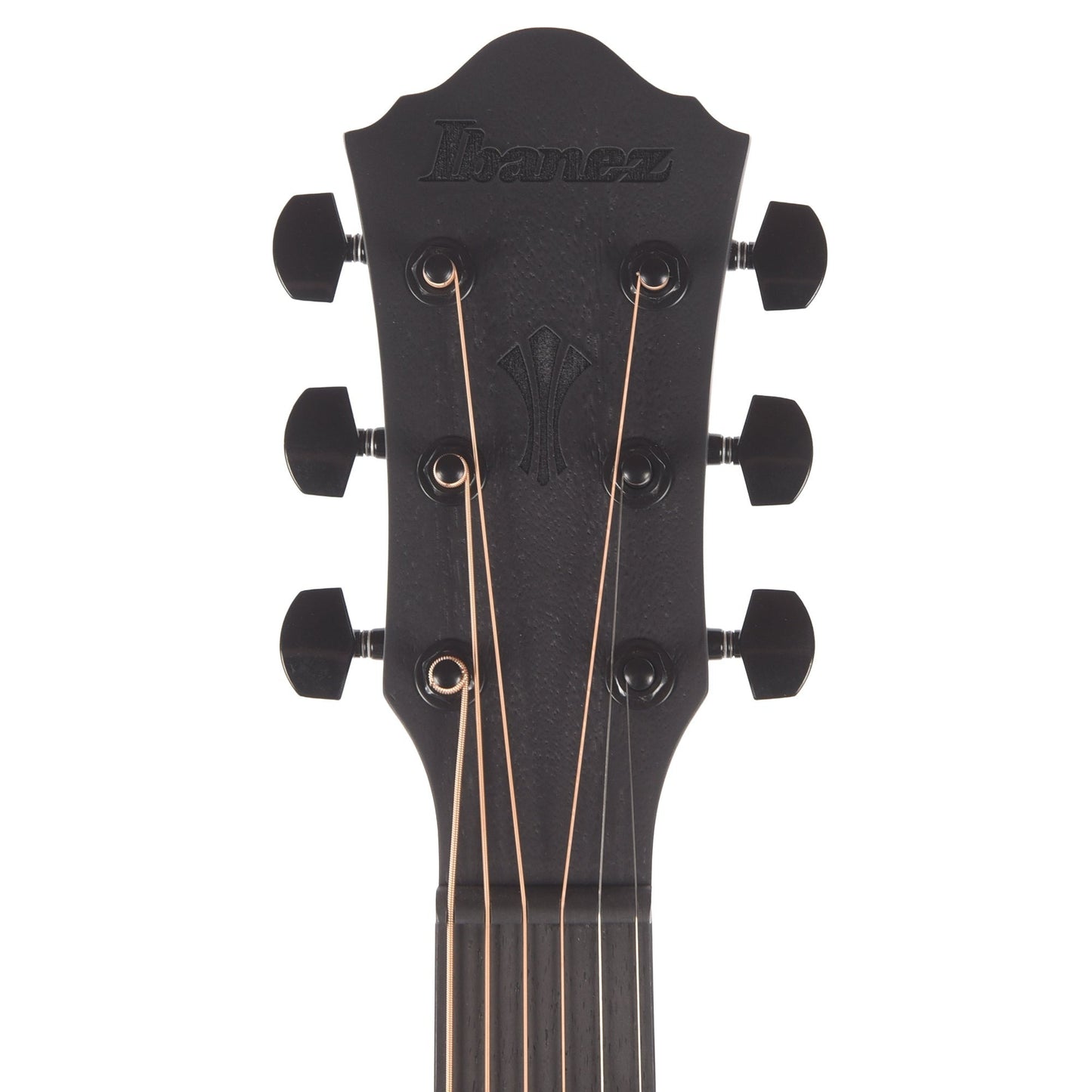 Ibanez AEG621BOT AEG Acoustic-Electric Guitar Black Out