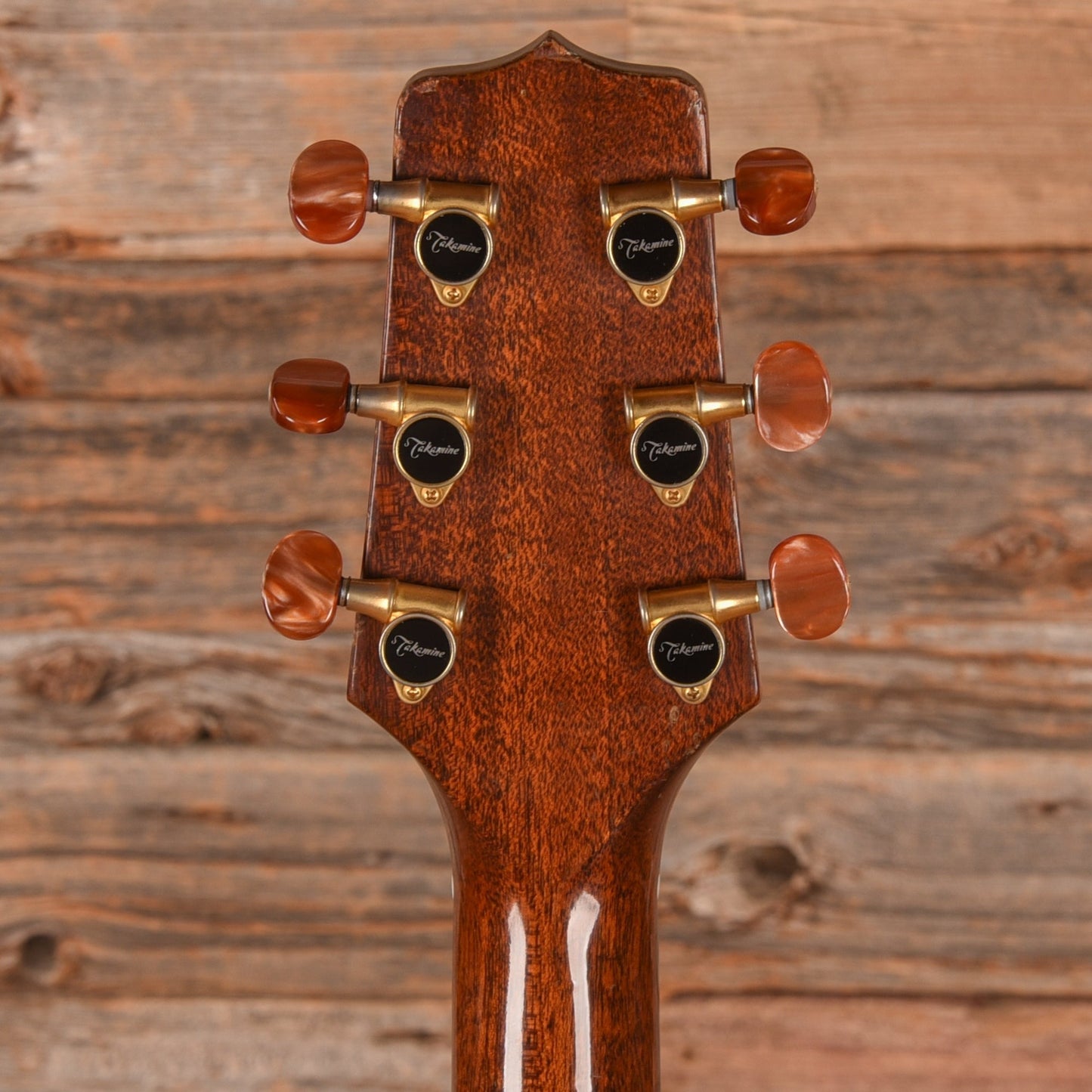 Takamine Santa Fe PSF-94 Natural 1994