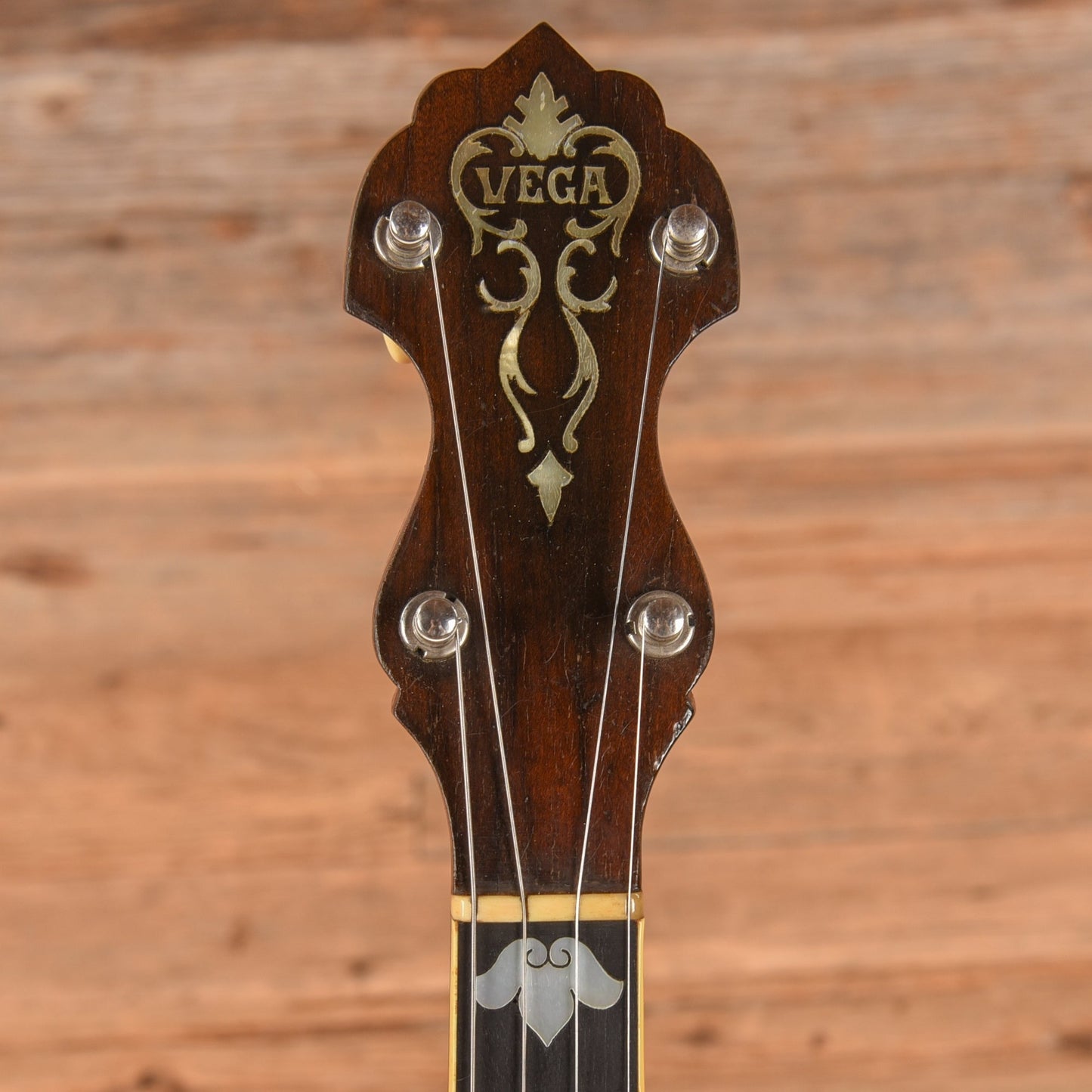 Vega Style M Tenor Banjo 1910